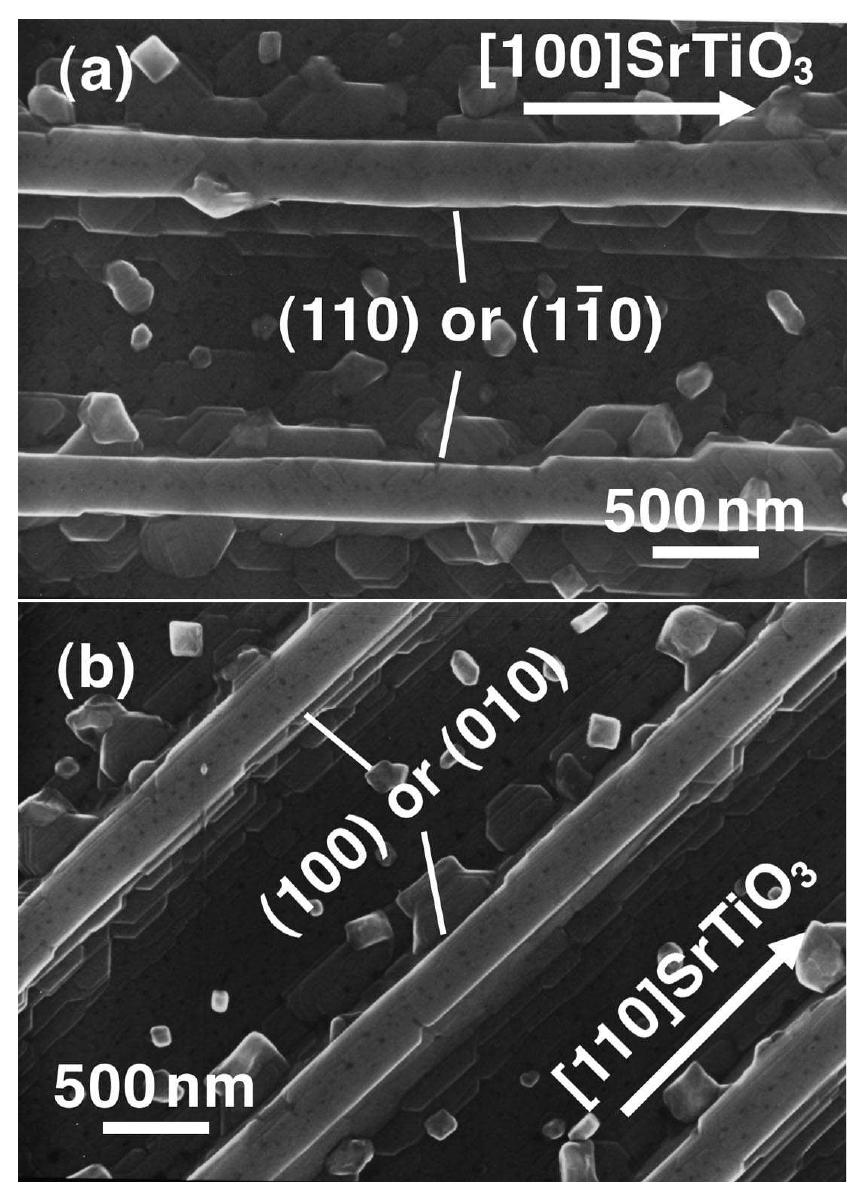 Sem images of line patterns of the bscco thin film. lines