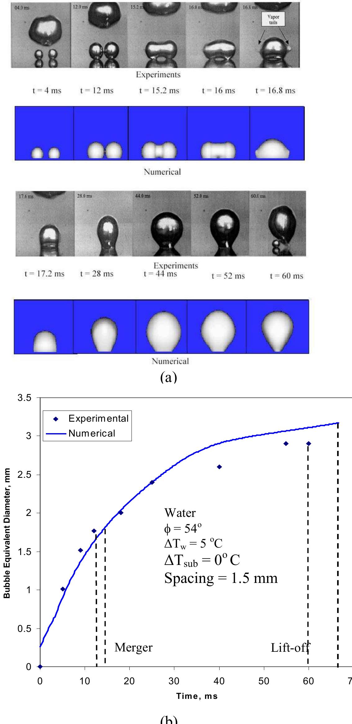 (PDF) Bubble Dynamics and Nucleate Pool Boiling Heat Transfer ...