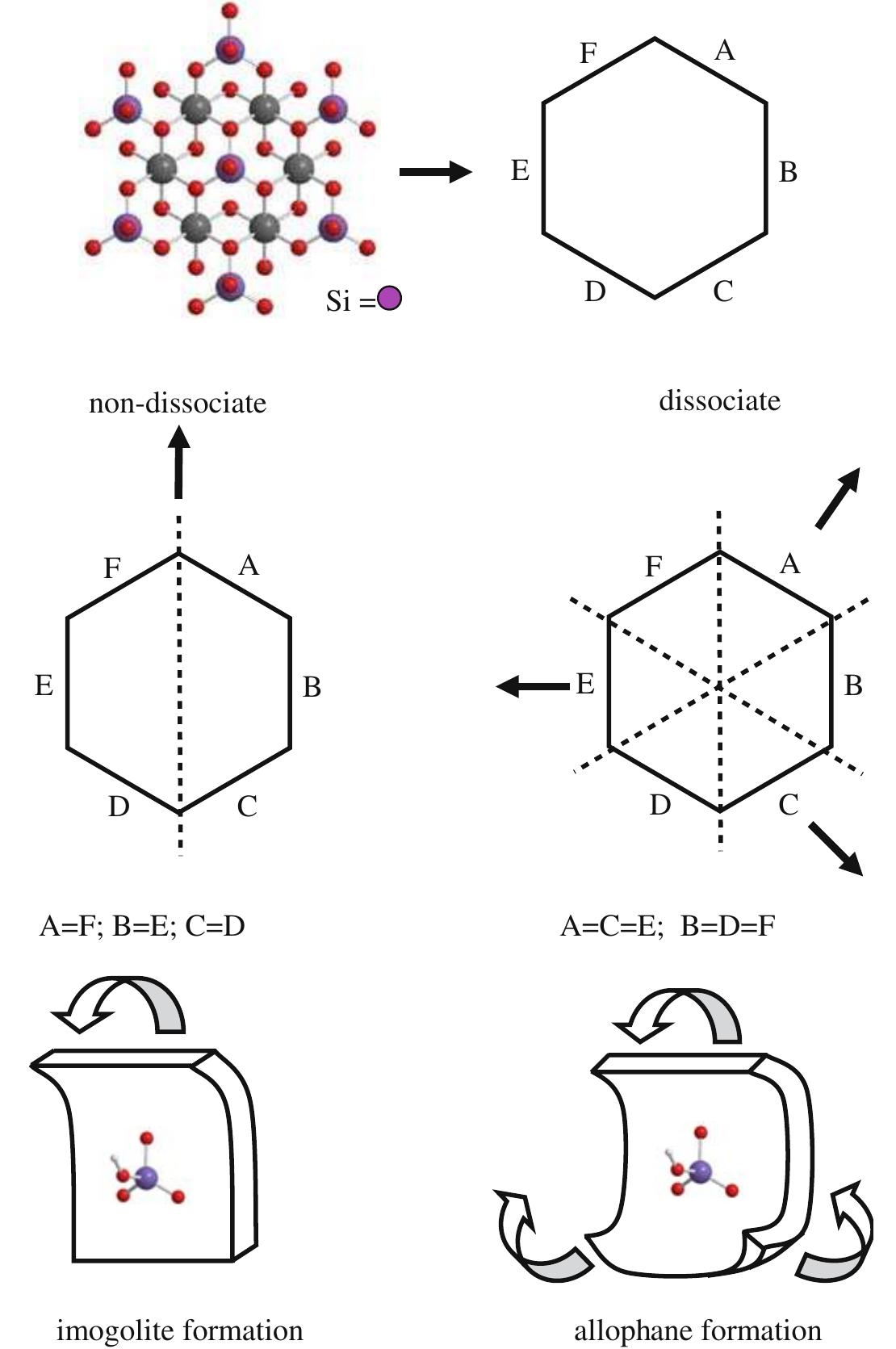 Figure 6 - from Differential formation of allophane and