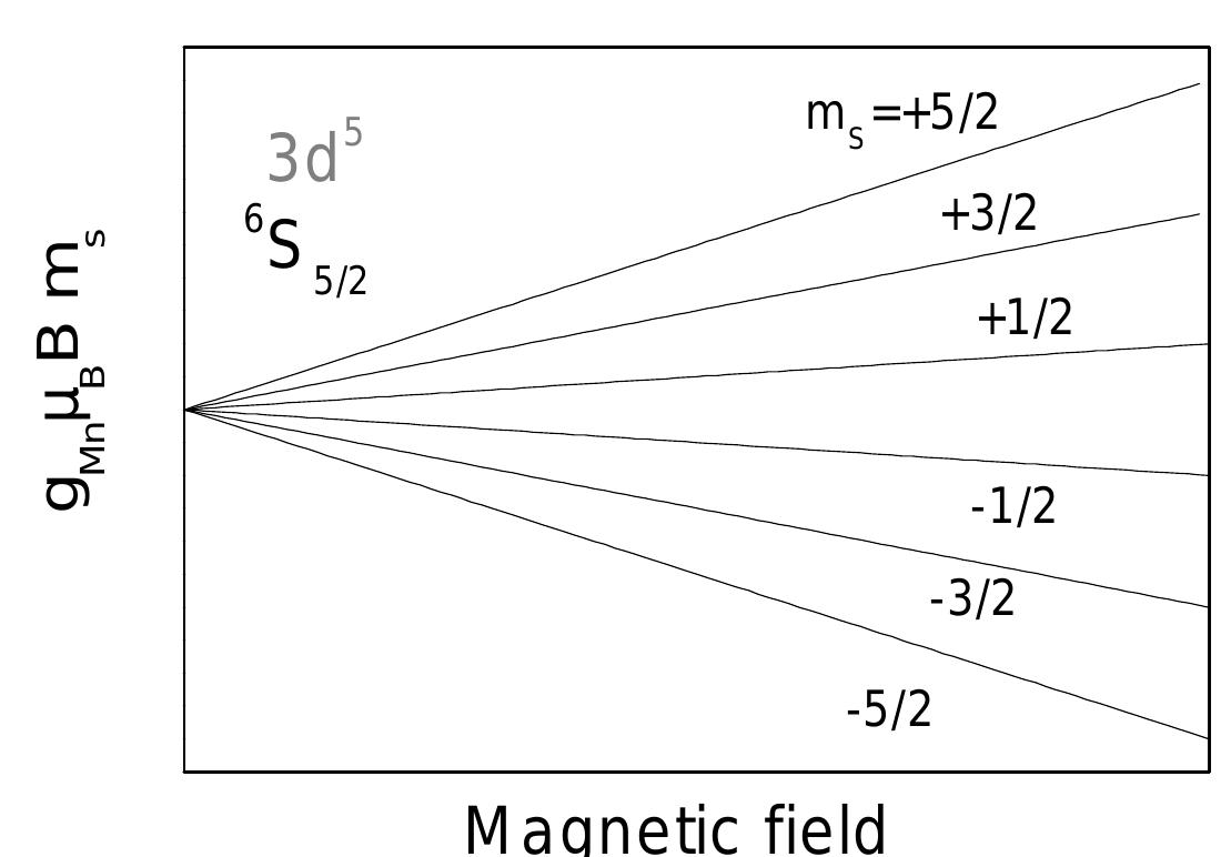 PDF) Phénomènes dépendants du spin dans des structures à un
