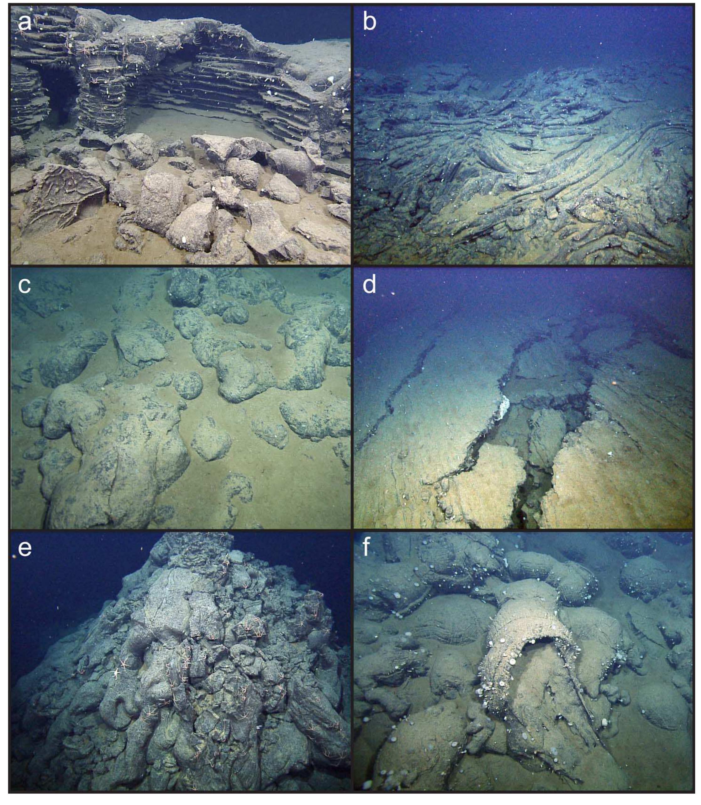 Auv d. allan b. bathymetry maps of young lava flows within