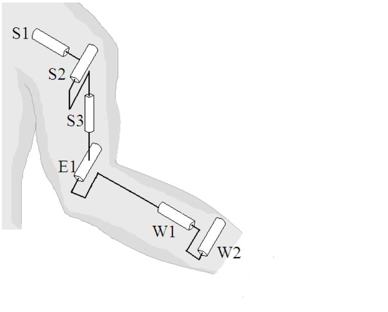 (PDF) Kinematic modeling of humanoid arm