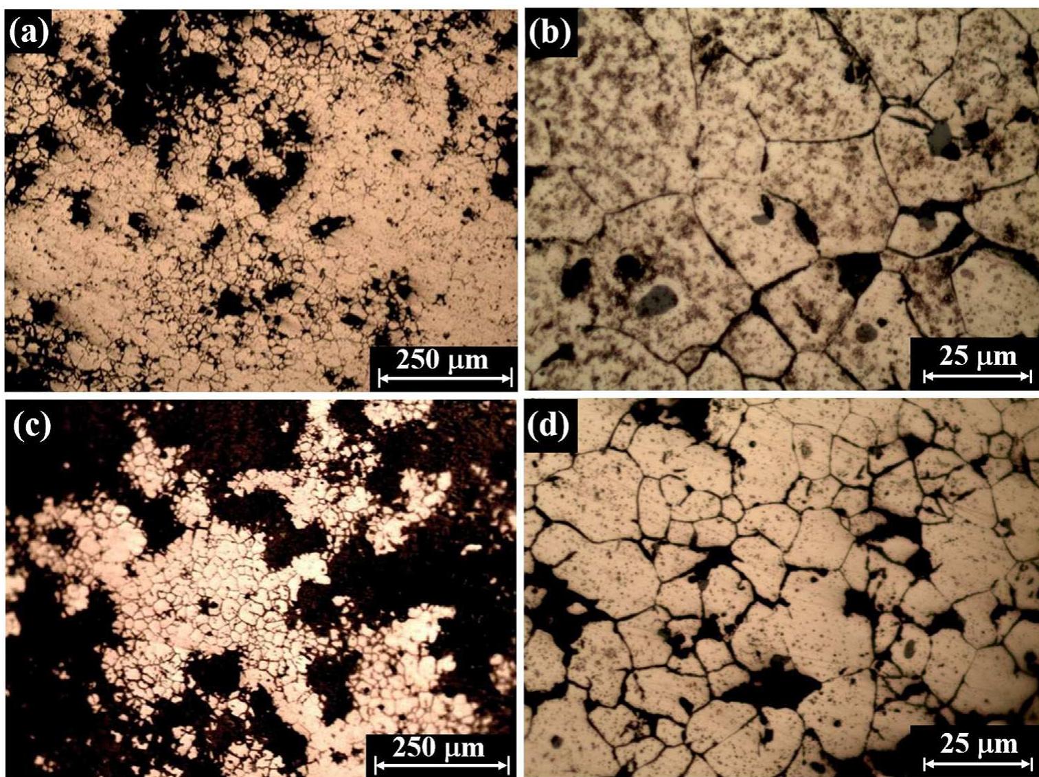 The bronze handle (Reg. No.: 4203.01 — Fig. 3) was found in a rela- tively good state of shape-preservation covered with a typically brown-  Fig. 5. Metallographic (LM, P-CS, etched) examination of the bronze axe reveals: (a) porosity and equiaxed grains (area A, x 100 magnification); (b) equiaxed grains with inclusions (area A, x 1000); (c) porosity and equiaxed grains (area B, x 100); and (d) equiaxed grains with inclusions (area B, x 1000).  Metallographic observation of the handle (LM, area A, L-CS) exposed many longitudinal cracks, parallel to the hammering direction (Fig. 8a). The microstructure is composed of relatively equiaxed grains (30-60 pum, Fig. 8b) displaying intergranular corrosion (Fig. 8c) and of small longitudinal inclusions, 5-15 um in length (Fig. 8d). The average 