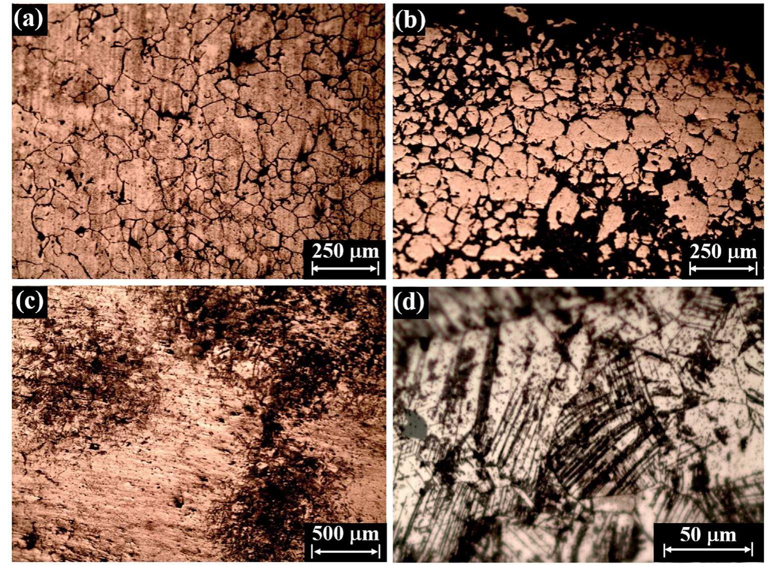 Fig. 7. Metallographic (LM, L-CS) examination of the bronze hoe reveals: (a) equiaxed grains and porosity (area A, etched, x 100 magnification); (b) equiaxed grains with intergranular corrosion attack (area B, etched, x 100); (c) corrosion and deformation slip bands at the cylindrical part of the plow (area C, x50); and (d) deformation slip bands (area C, etched, x 500). 