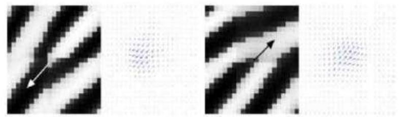 (PDF) Minutiae Extraction from Fingerprint Images - a Review