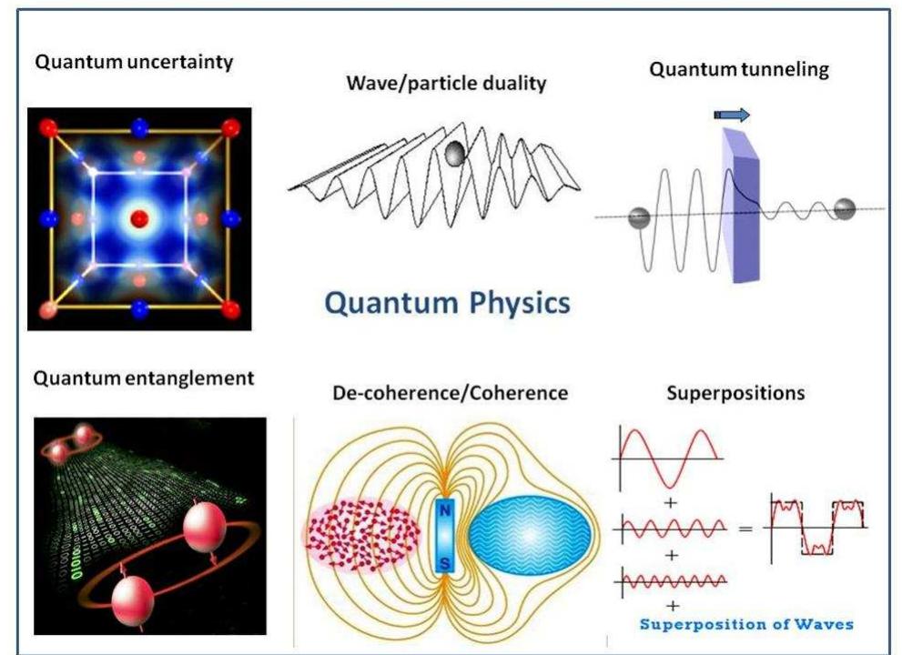 (PDF) The Extended Brain: Cyclic Information Flow in a Quantum Physical ...