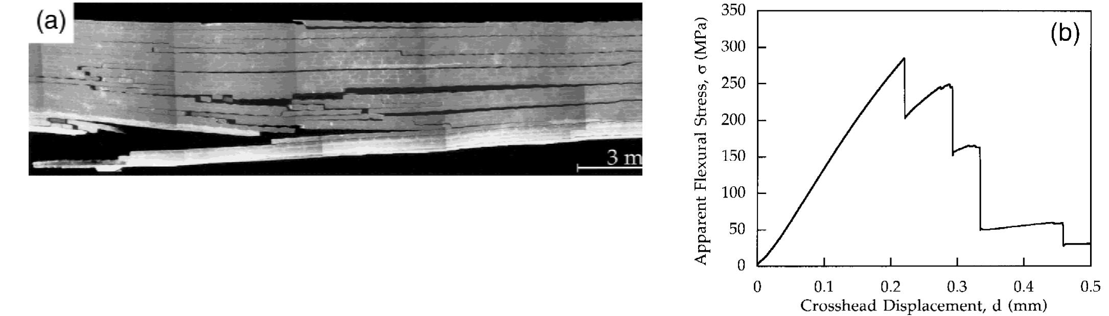 (a) side surface of a [0/+45/90] fibrous monolith is shown