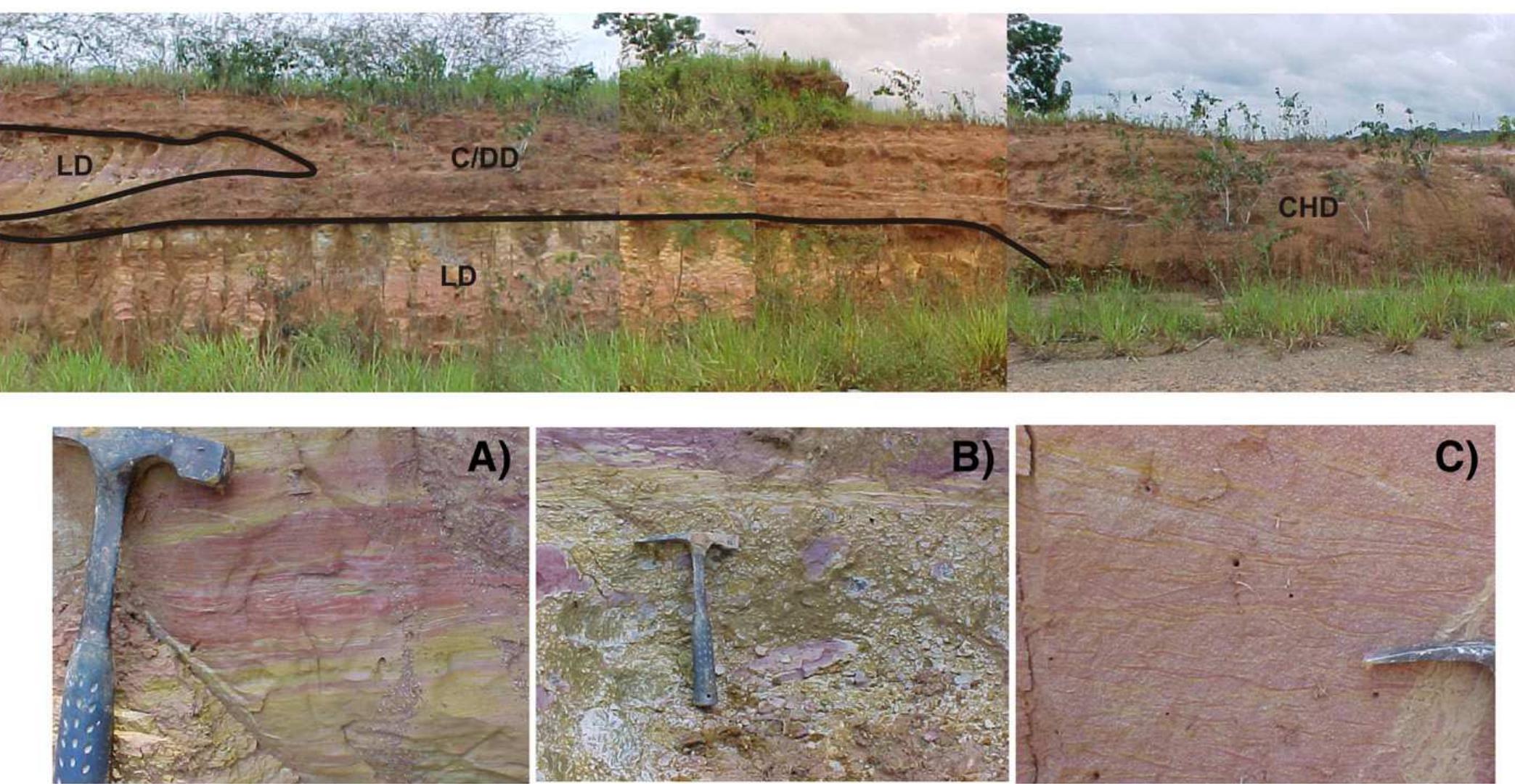 (PDF) The Late Miocene paleogeography of the Amazon Basin and the ...