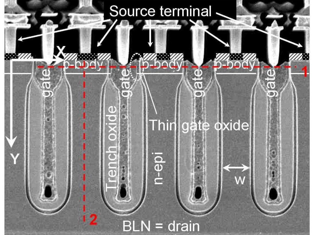 Fin Experiments : cross-section of the core of the device, cutline taken