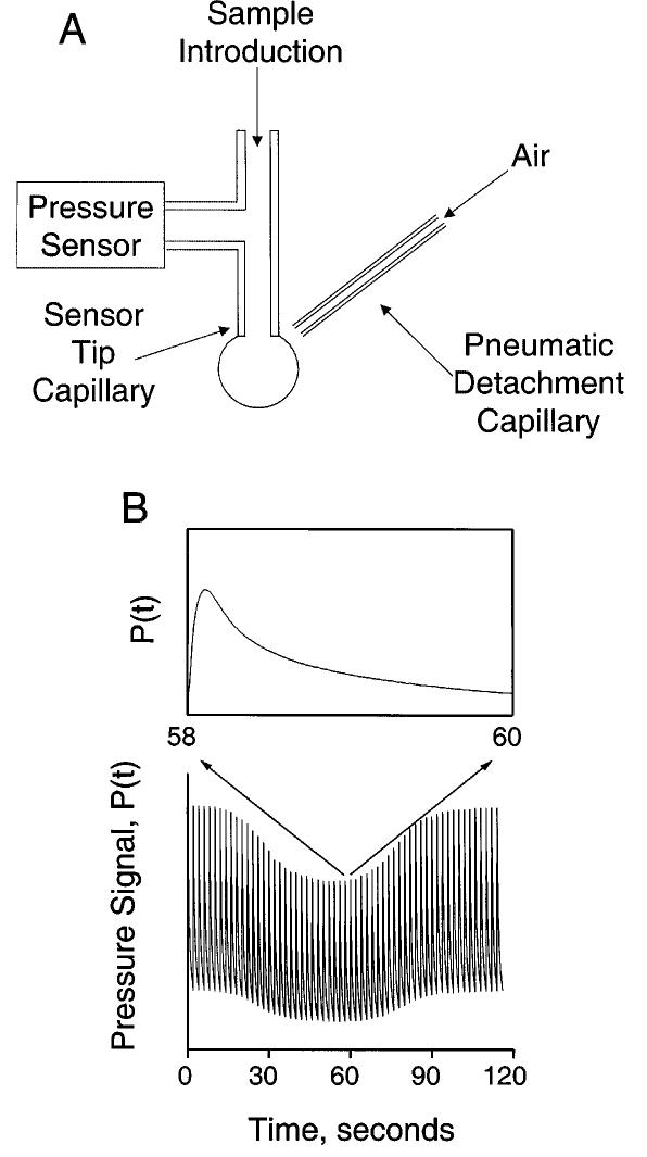 Capillary Injection System Figure 1 - from Dynamic surface tension analysis of dodecyl