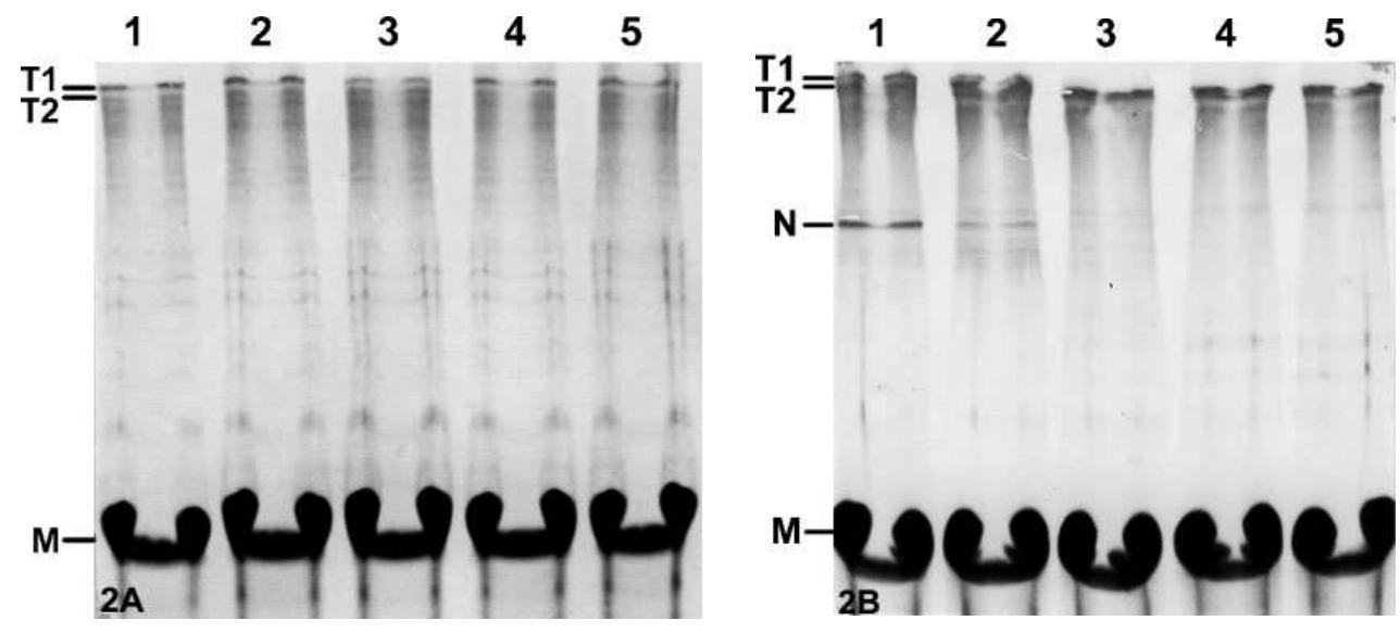 【楽ギフ_包装】 of Effect PDF) lyophilisation, and storage refrigerated ウエイトトレーニング