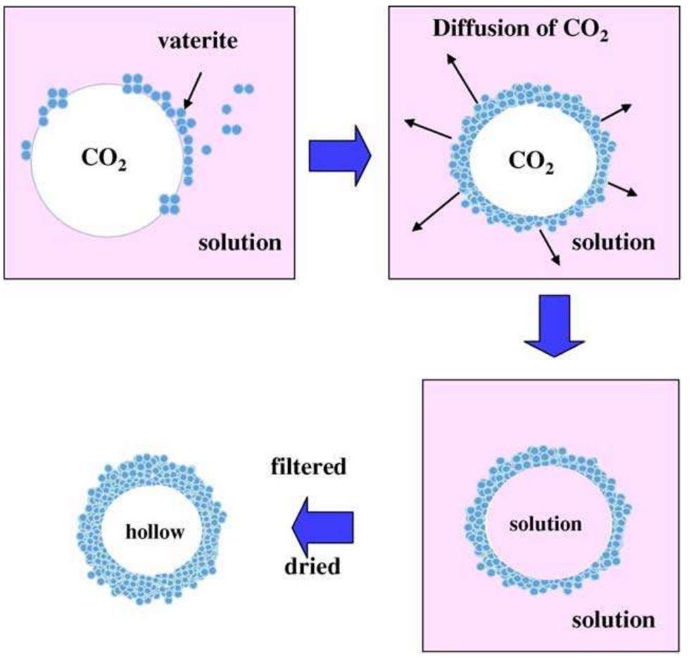(PDF) Synthesis of hollow calcium carbonate particles by the bubble ...