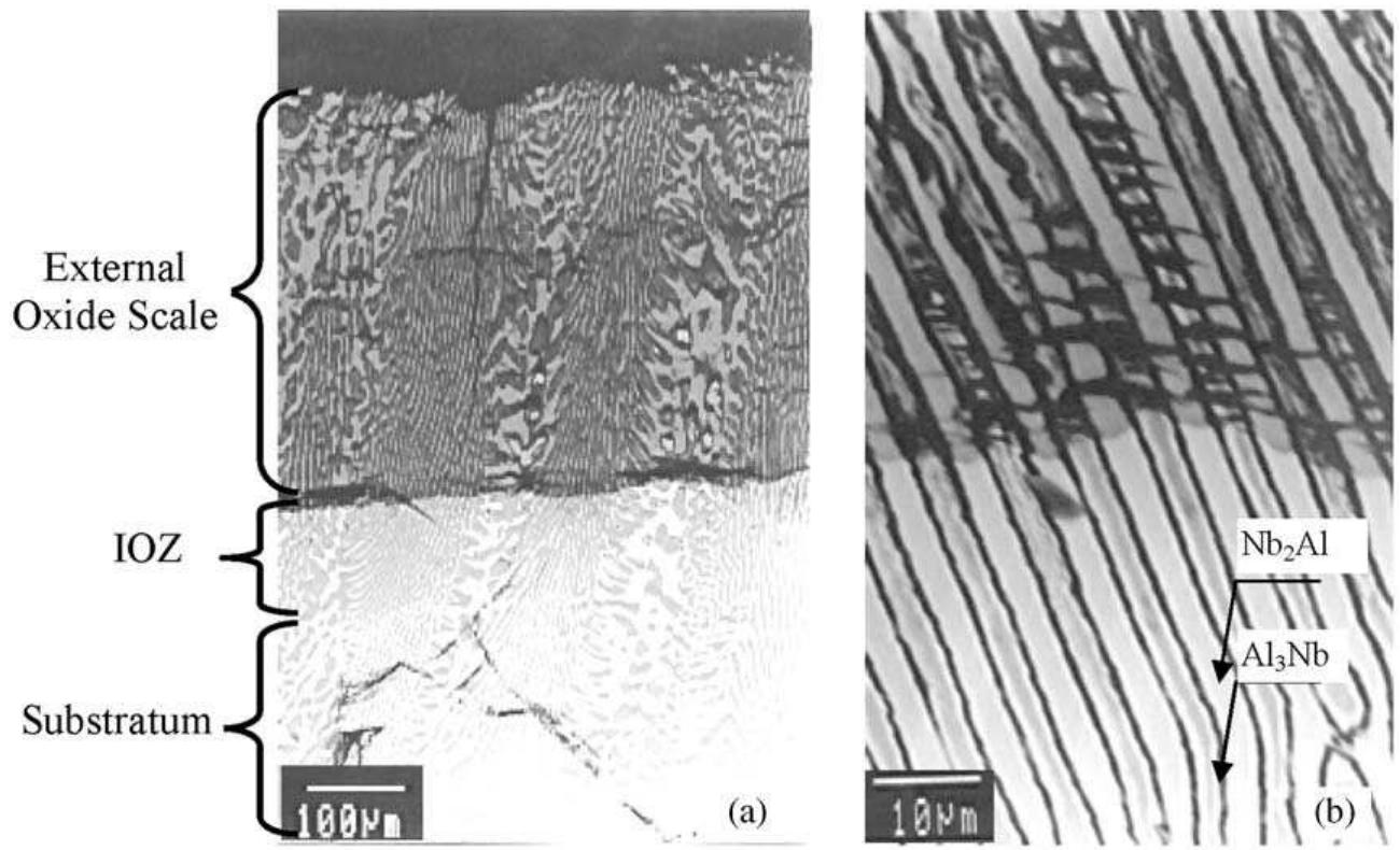 (PDF) Directional solidification, microstructure and properties of the ...
