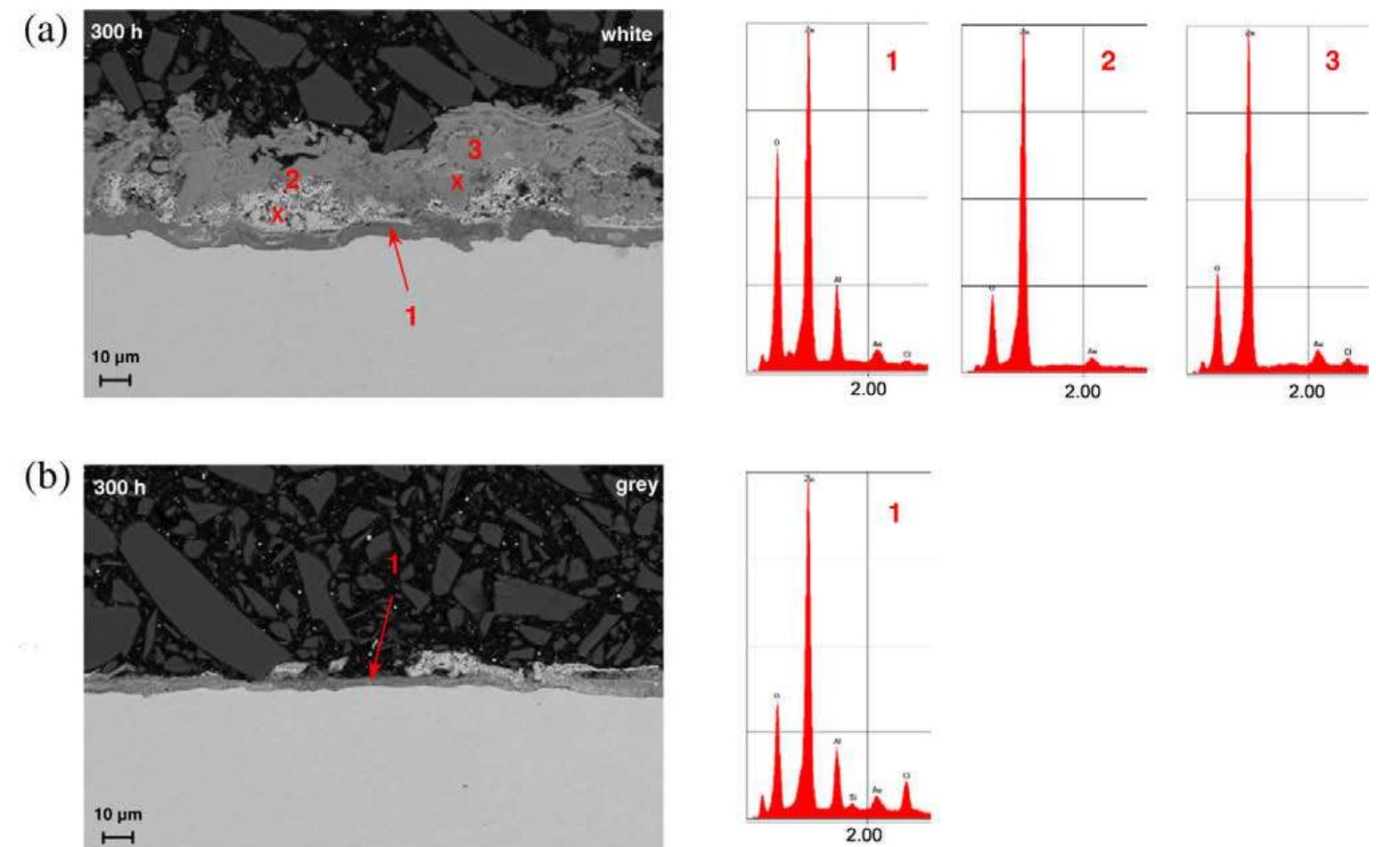 Sem micrographs and eds spectra of zinc-aluminium-magnesium