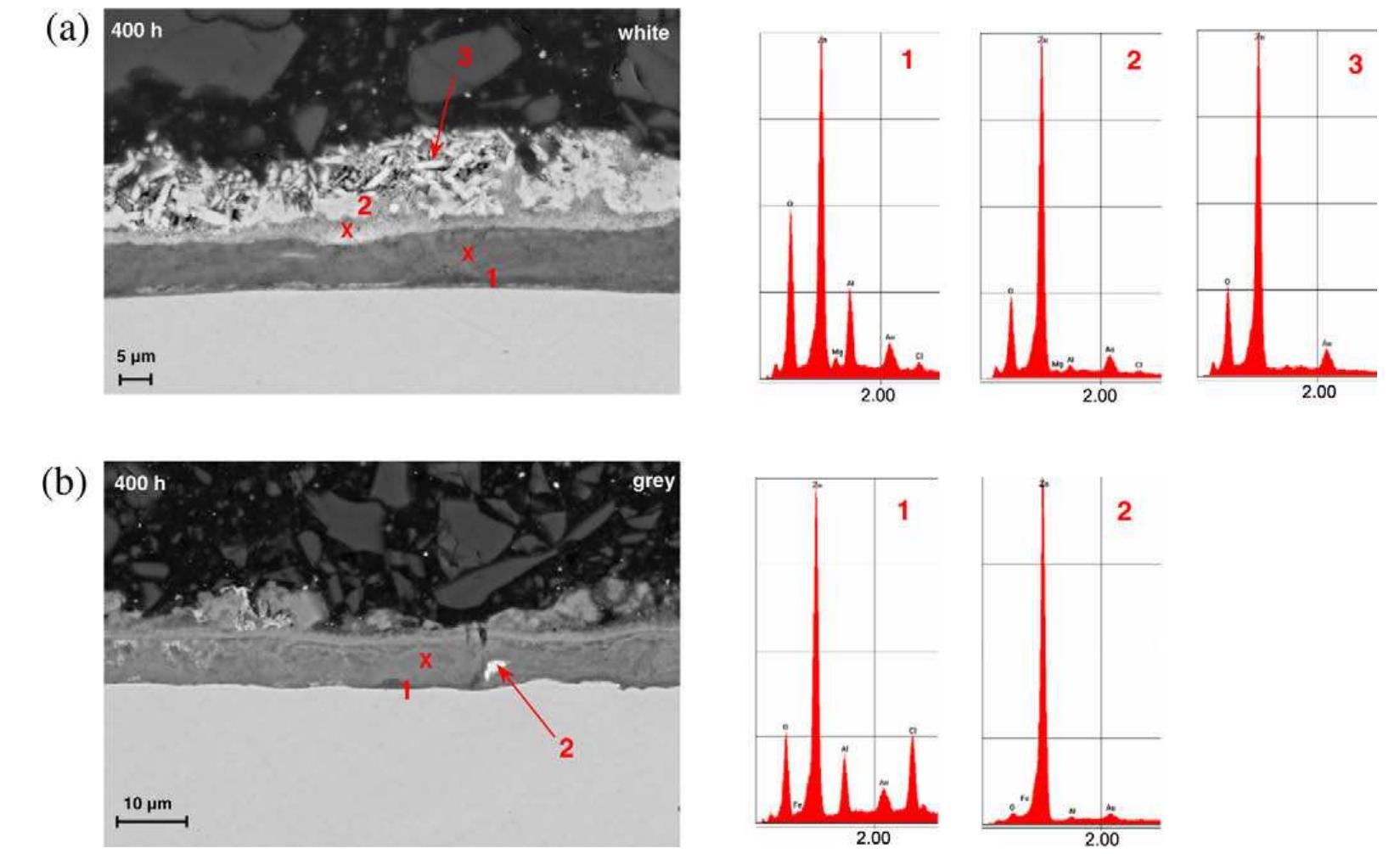 ‘ig. 9. sem micrographs and eds spectra of