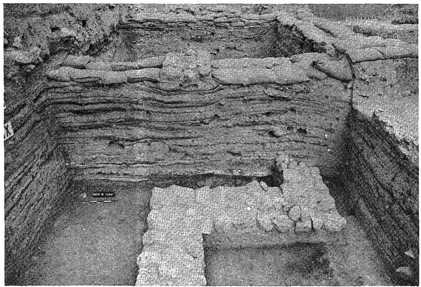 Fig. 7. Area S. Sq. D/10, facing west. 