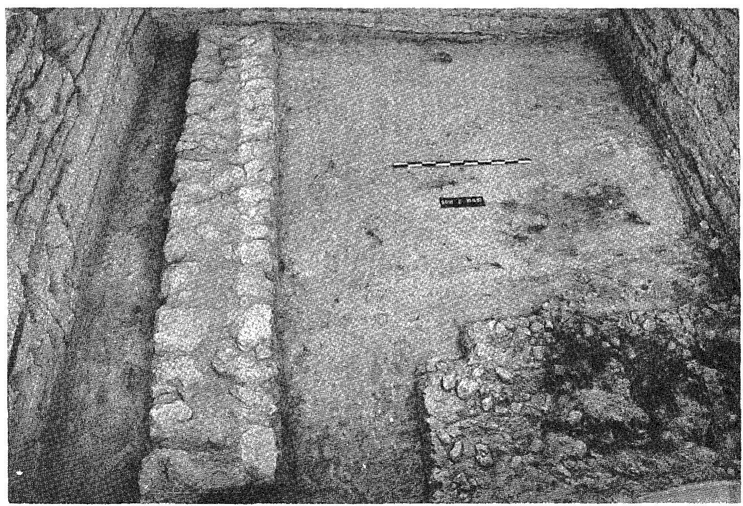 Fig. 8. Area S. Sq. D/11, facing east. 