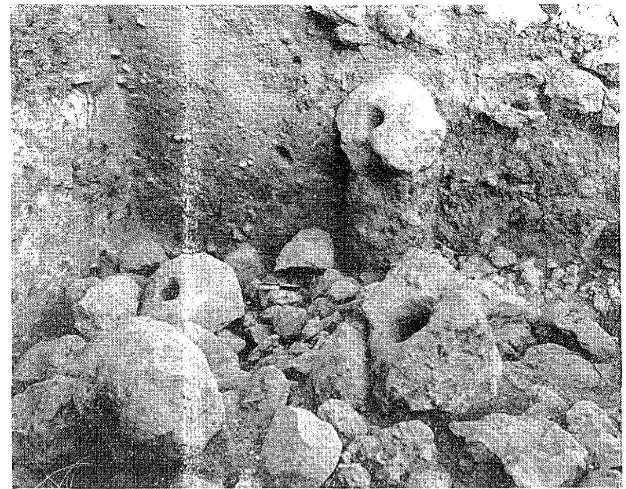Fig. 16. ‘Perforated stones’, as found in front of the outer revetment. 