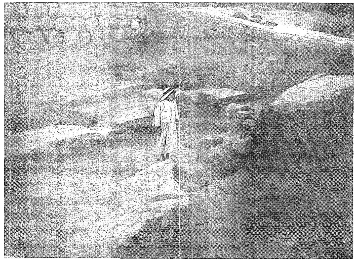 The area of the southwest corner of the courtyard, between Podium C and the southern annexed building, was briefly investigated by the British expedition in 1937 (Lachish III:77-78, 80-81; Pl. 16:6). The sounding, roughly extending across four squares of our grid (Squares V-W/ 11-12 in Fig. 19), uncovered part of a large Late Bronze Age structure which included massive parallel brick walls extending from north to south and with a number of units between them. Two units were  from north to south and with a number of units between them. Two units wer 