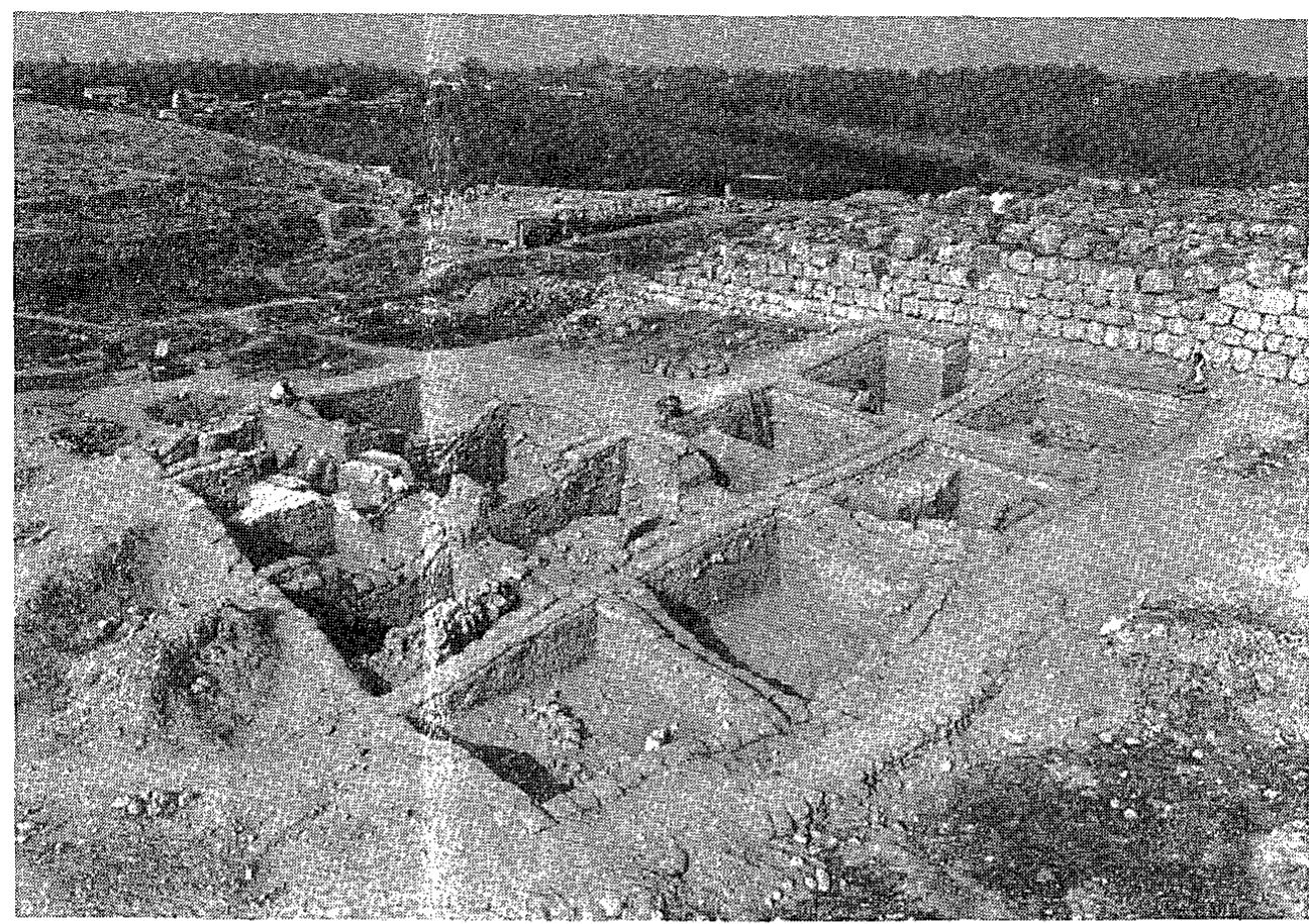Fig. 20. Area D. General view in 1987, from northeast. 