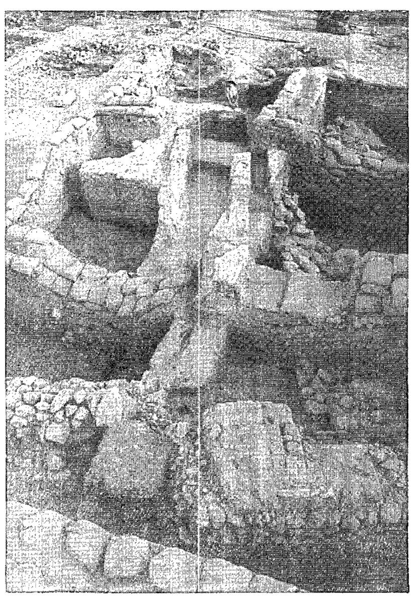 Fig. 22. Area D. General view of the Middle Bronze Age cultic place, from north. 