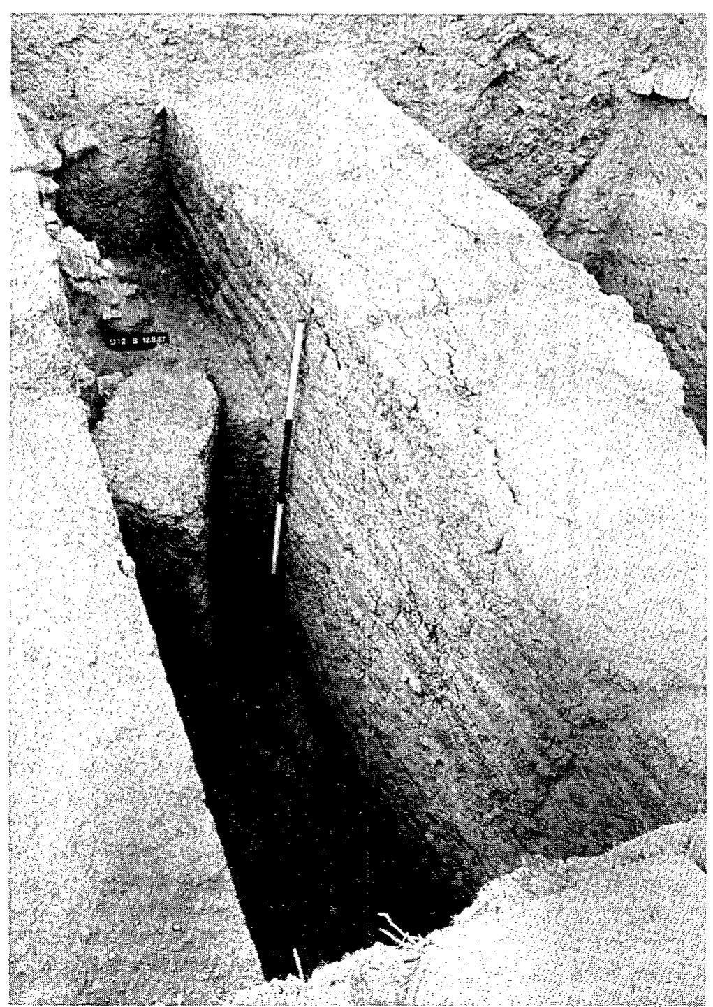 Fig. 28. Area D. Brick wall 7051, which supported the constructional fills of Podium B in Sq U/12, from north. Note curving wall of the Late Bronze Age silo at left. 