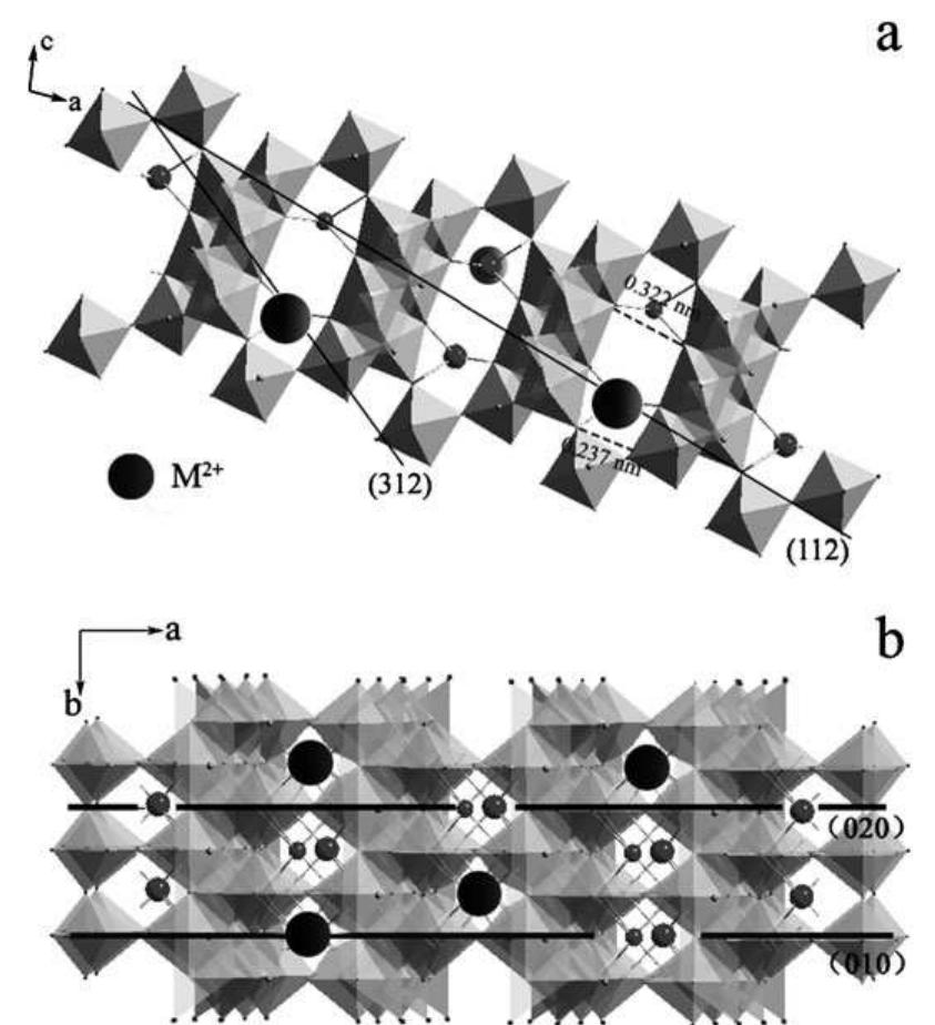 Schematic drawing of t6 crystal structure after sorption of