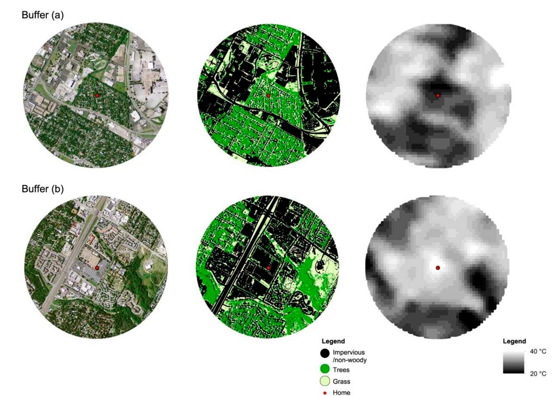 Figure 2 - Neighborhood Landscape Spatial Patterns and Land