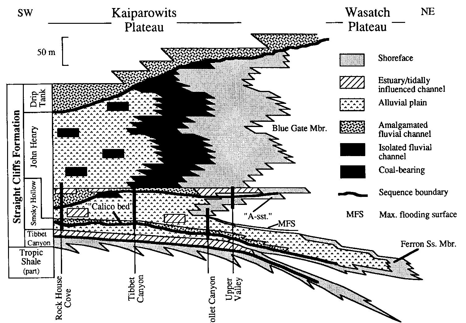 Sequence stratigraphic cross-section of turonian through