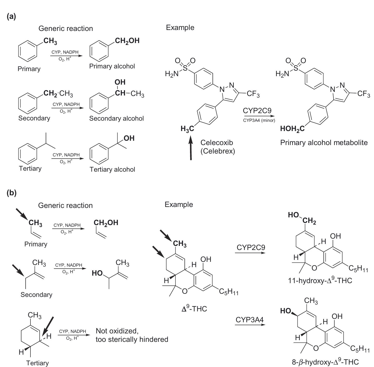 Hydroxylation Example Figure 9 - from Biotransformations in Drug Metabolism