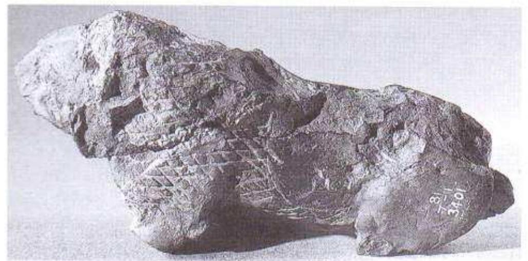 Figure 14. Lion. From northern Babylonia.  such as this, excavated by Rassam’s workmen, since they were active simultaneously at Nineveh, Babylon, Borsippa, Dilbat, Kutha, Sippar, and elsewhere. Had such a piece come from Nineveh, however, it would probably have been made of the superior fossil clay. It has been neatly modelled and finished by hand, and represents a bearded face wearing a high hat or polos, which has a wide band at its base; while no horns are visible, they could have been present, springing from the side of the hat rather than the front. The piece is broken at the back, and appears to be a flake from a more substantial object, such as a winged bull; minia- ture winged bulls did exist in stone, e. g. on gaming boards (Gadd 1934: 47-9, pl. VIII a), and there may have been a need for models on which to base them. It is uncertain whether this fragment was indeed a model on which another figure was based, or belongs with the plaques mentioned above, or with the next group of six  objects, all of which date from the same general peri- od. 