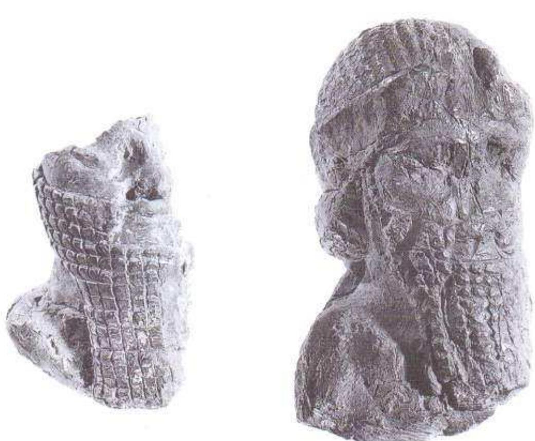 Figure 15. Bearded heads. From northern Babylonia.  Unfired clay, models, and “sculptors’ models” in the British Museum 