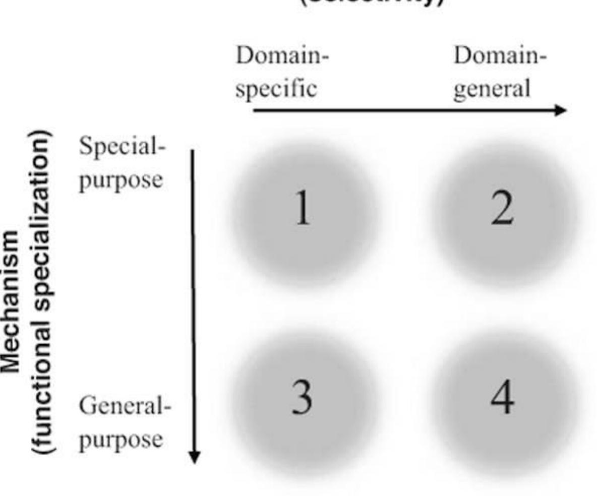 (PDF) The social brain neural basis of social knowledge.pdf