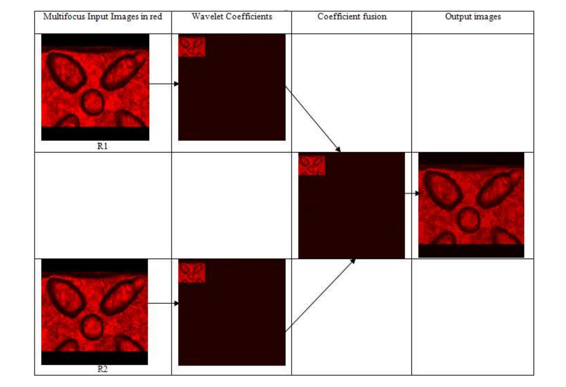 Figure 17 - from Chapter 2 Mathematical Models of Control