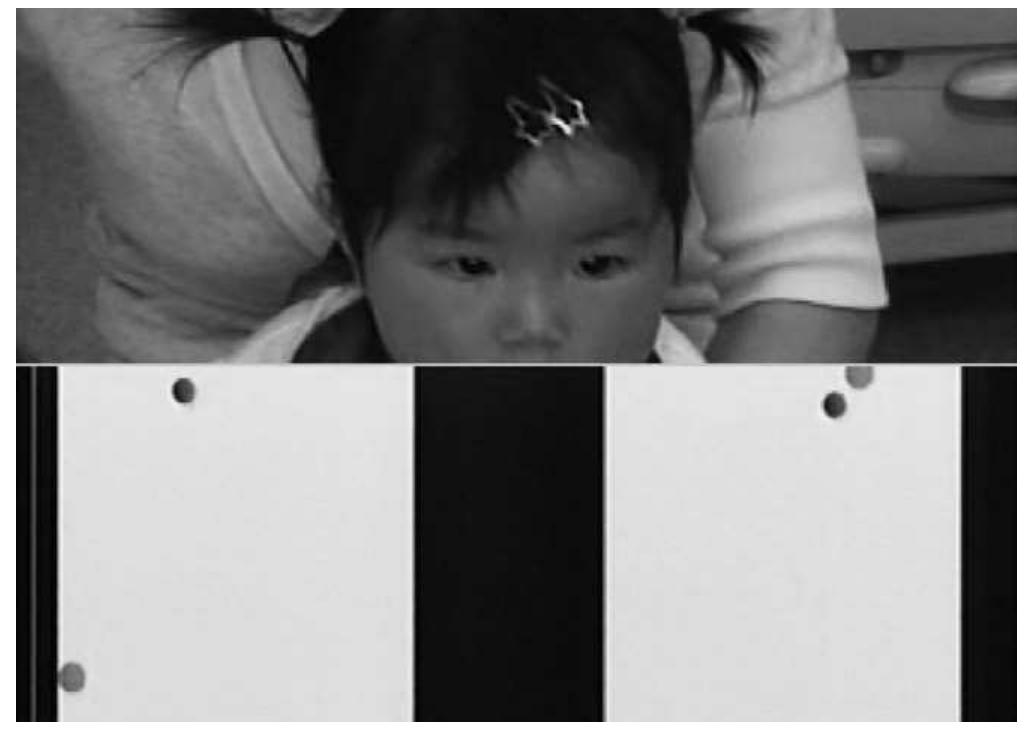 Fig. 1. The split monitor image of the infant’s gaze and stimulus. 