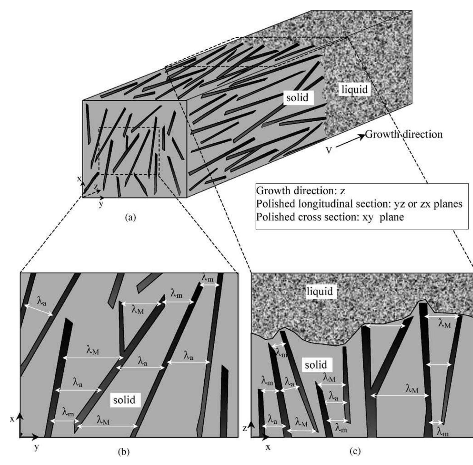 (a) schematic diagram of the growth of an irregular eutectic