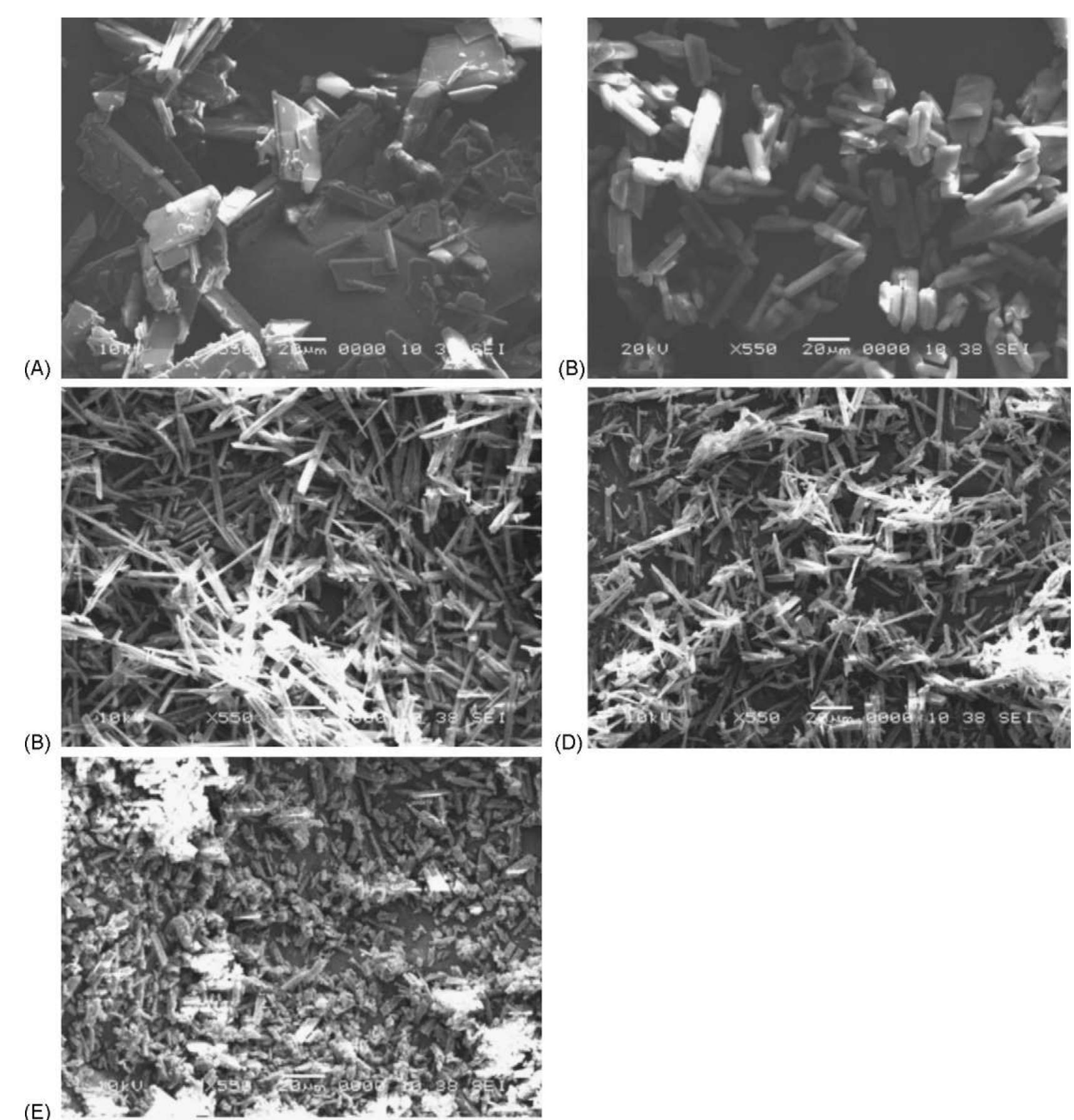 Polymorph Solid State (PDF) Solid state investigation and characterization of the polymorphic ...