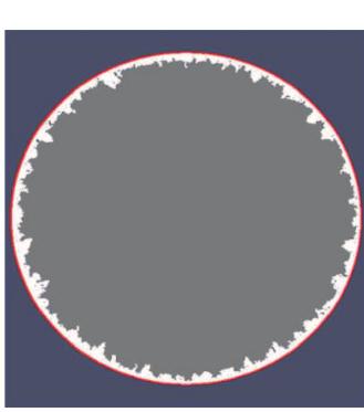 Fig.1: formation of particle agglomerates on the internal surface of mold. Th« mold is shown in red, the adhered material in white. 