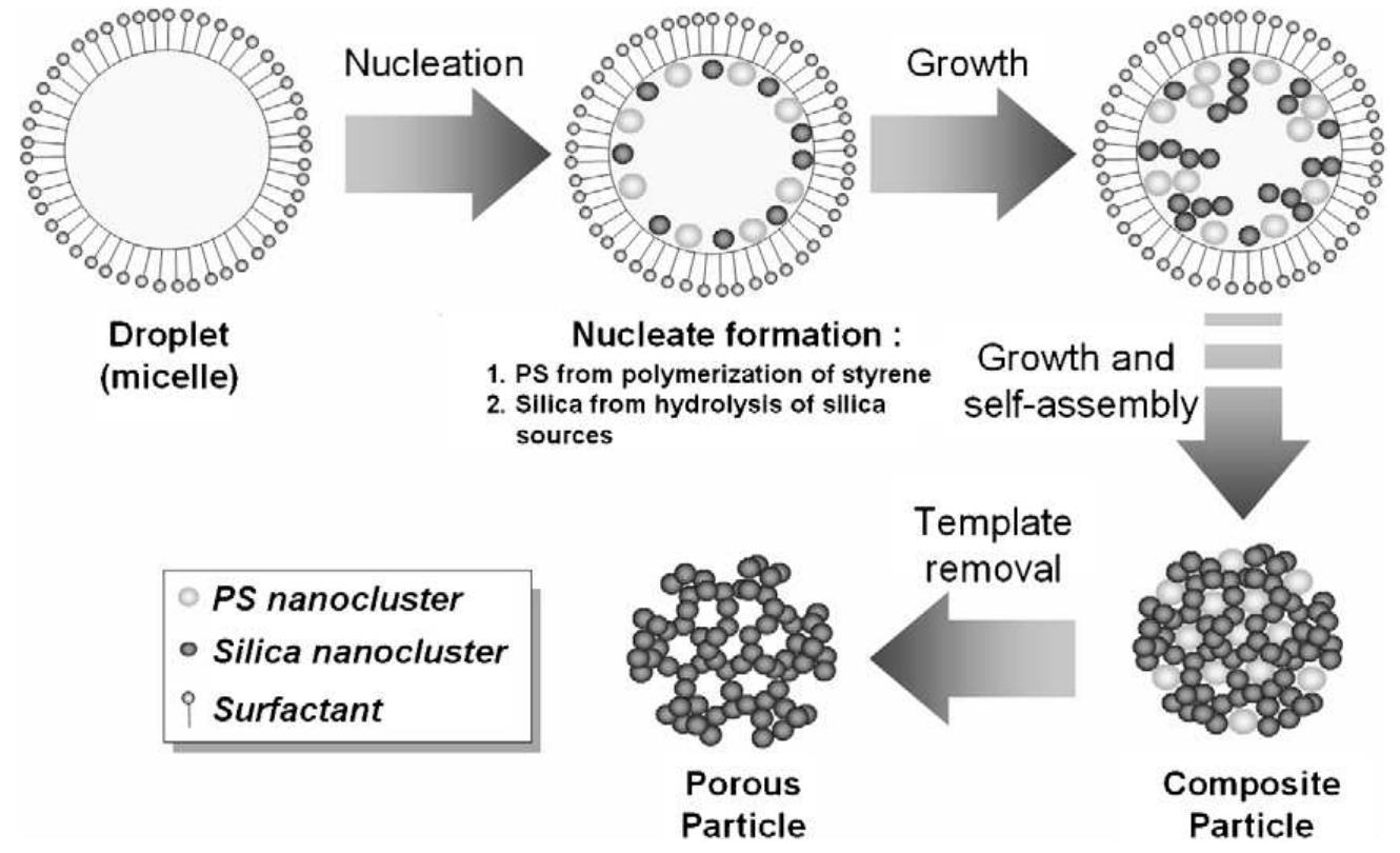 Preparation of mesoporous silica nanoparticles.