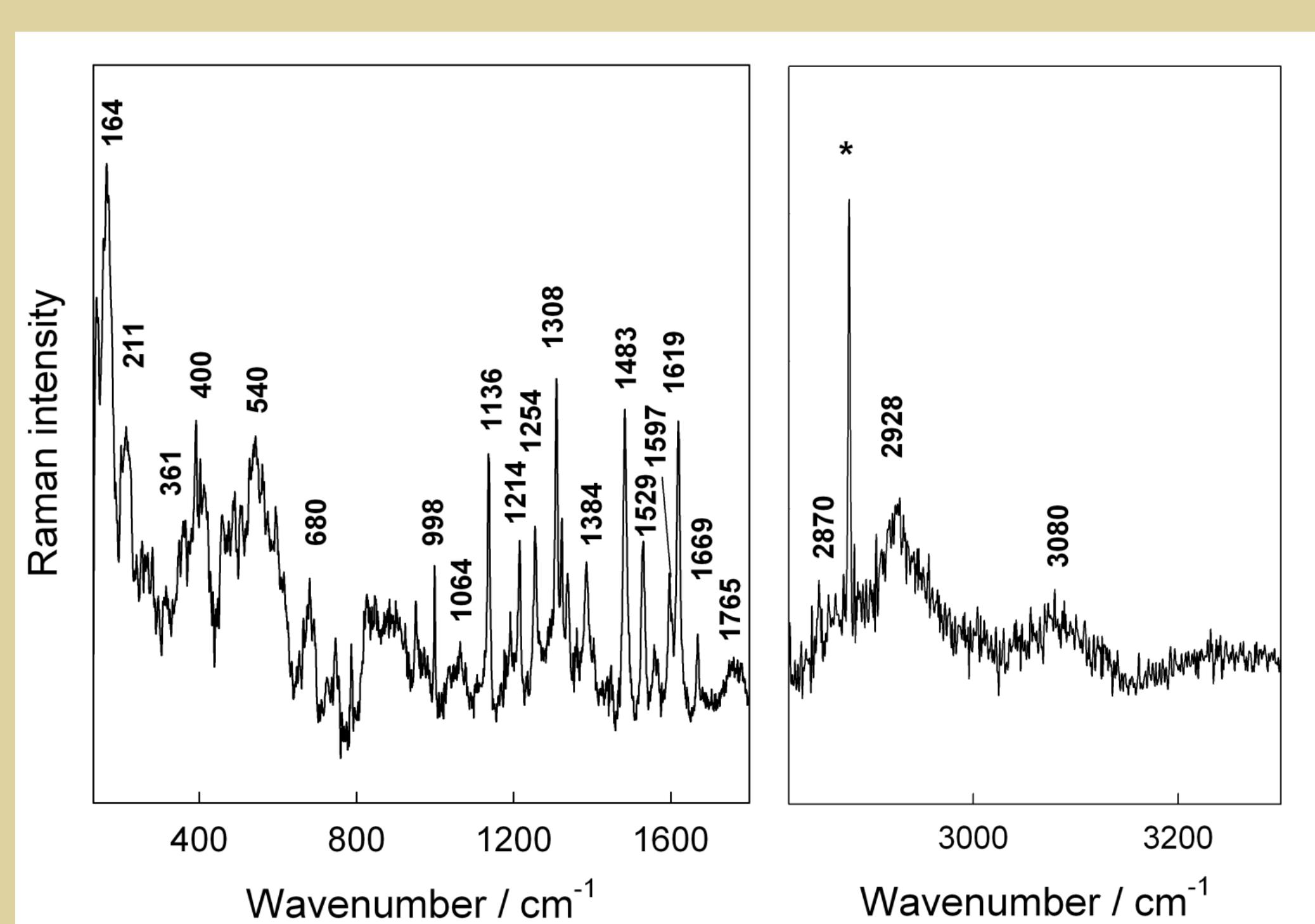 Fig. 7. Raman spectrum of the brown deffectin amber.  Use-wear analysis of the amber disc was conducted at th University of Klaipéda. Throughout the microscope th complete structure of omament was observed. Pits ornamer consists of pits between 0.39 — 0.59 mm in lenght (fig. 2) Backside of the artefact is decorated with lines, which form eight triangles. These triangles are crossed with smaller line (fig. 3). As the use-wear analysis showed, center hole was mad with a flint borer. It appears that amber disc was tied with som kind of string, as specific use- wear traces were detected on th hole edges (fig. 4). Lines omament was made using flint kniv or flake. After artefact production, the whole pendant wa polished with leather. It seems that omaments were filled wit tar as some of its residues were found. This black pigment wa used as a color to paint omaments on the both sides of th amber disc. These residues were closely studied with infrare and raman spectroscopy.  Fig. 3. Lines ornament. Magnification 20x 