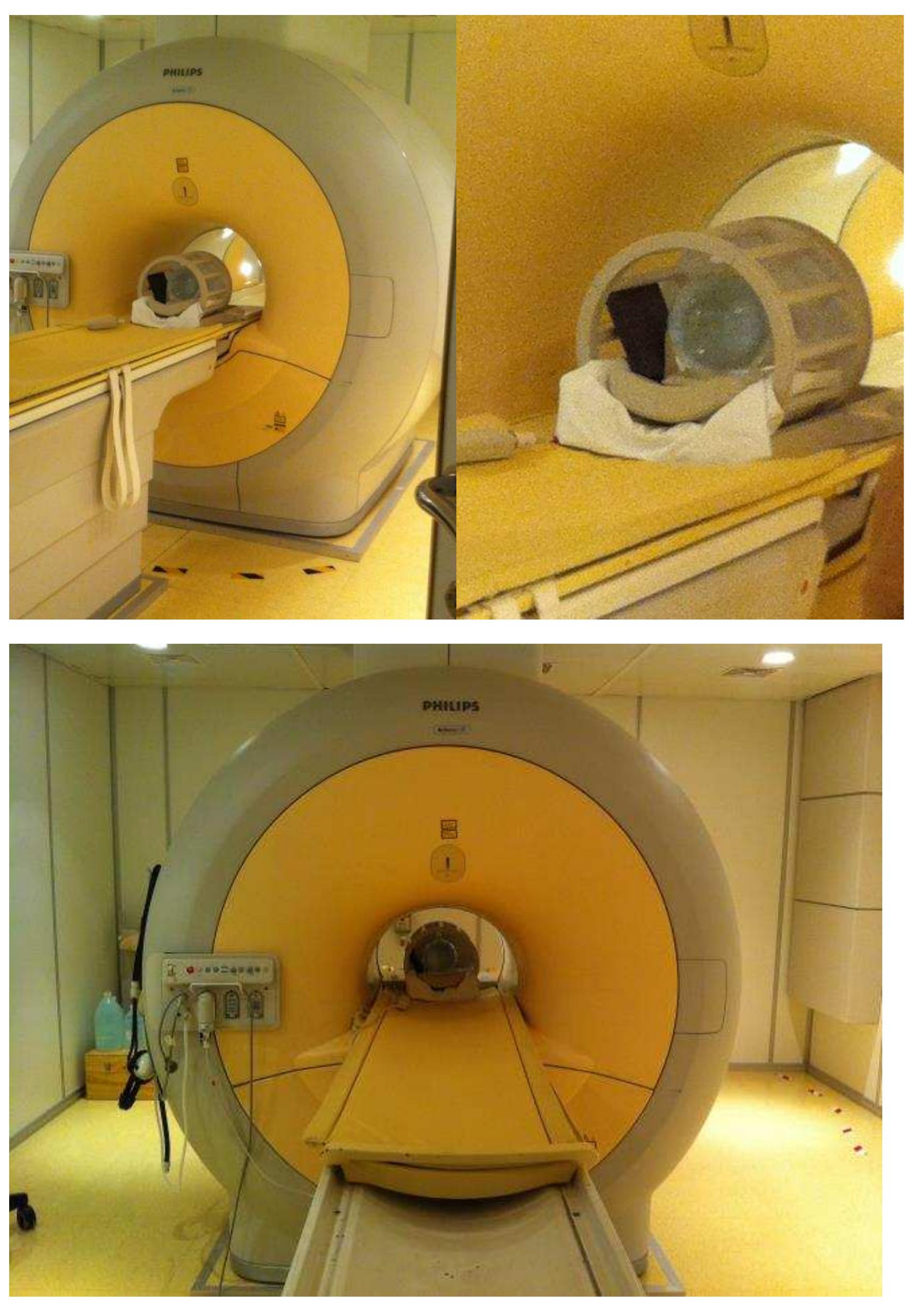 Figure 3 - Magnetic Resonance Spectroscopy - Data Analysis