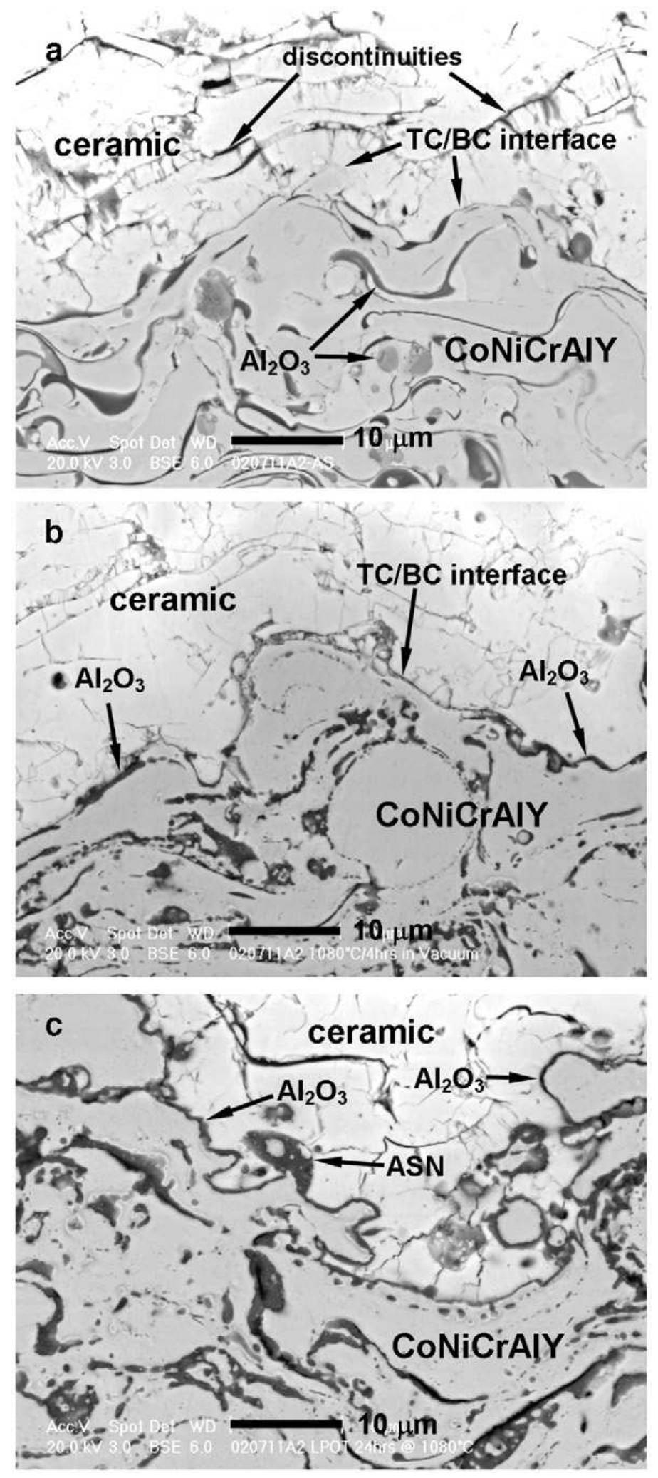 Type of oxide scale formed in ni—cr—al system upon thermal