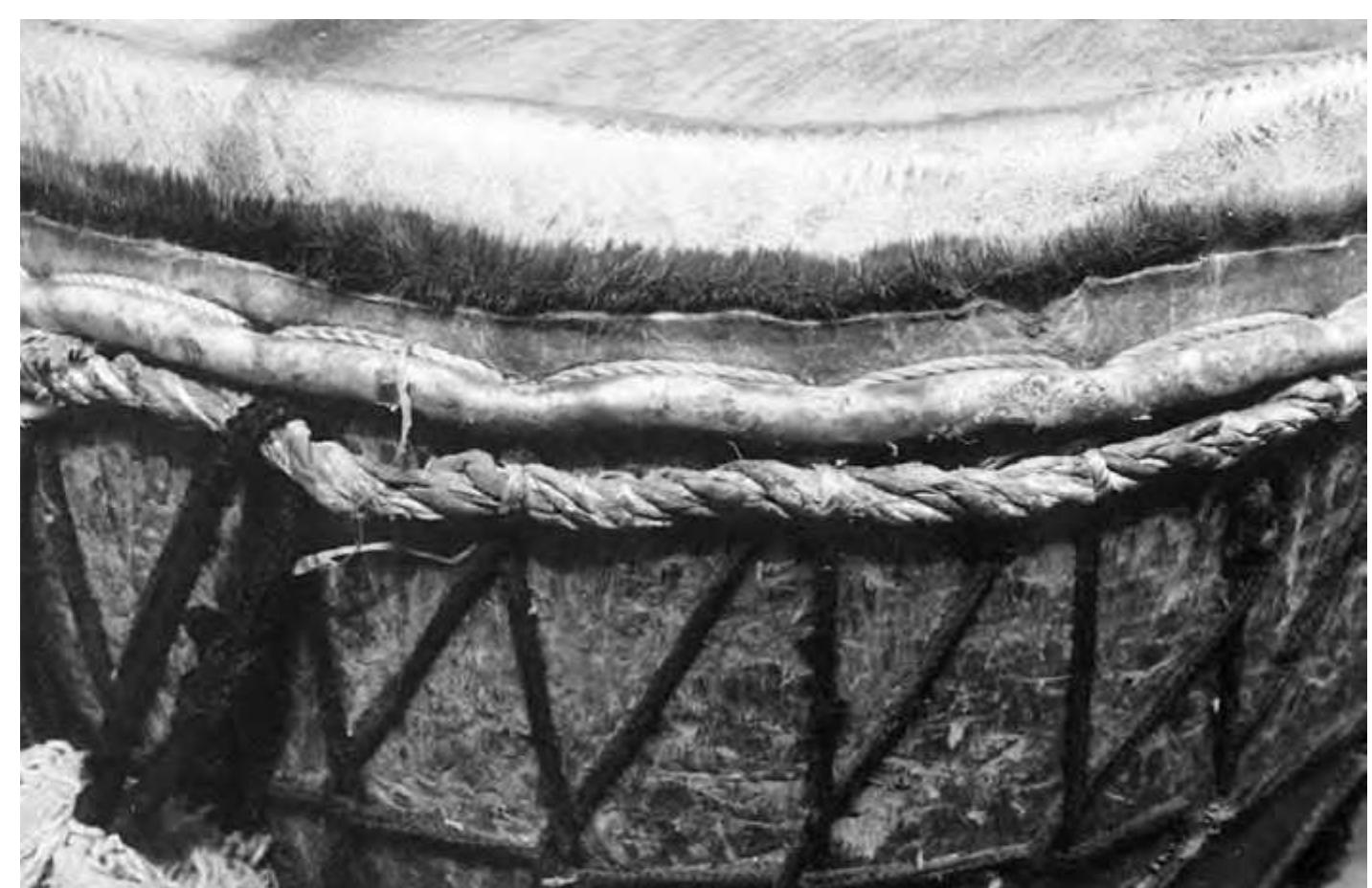 Fig. 6: Detail of the instrument shown in fig. 5. The tension transmitting strap running round the upper edge of the shell and the wedged in reinforcement strap  (which can be seen as a bulge protruding in the edge of the skin) consists of several braids of leather cord. Photo: Polak 1998. 