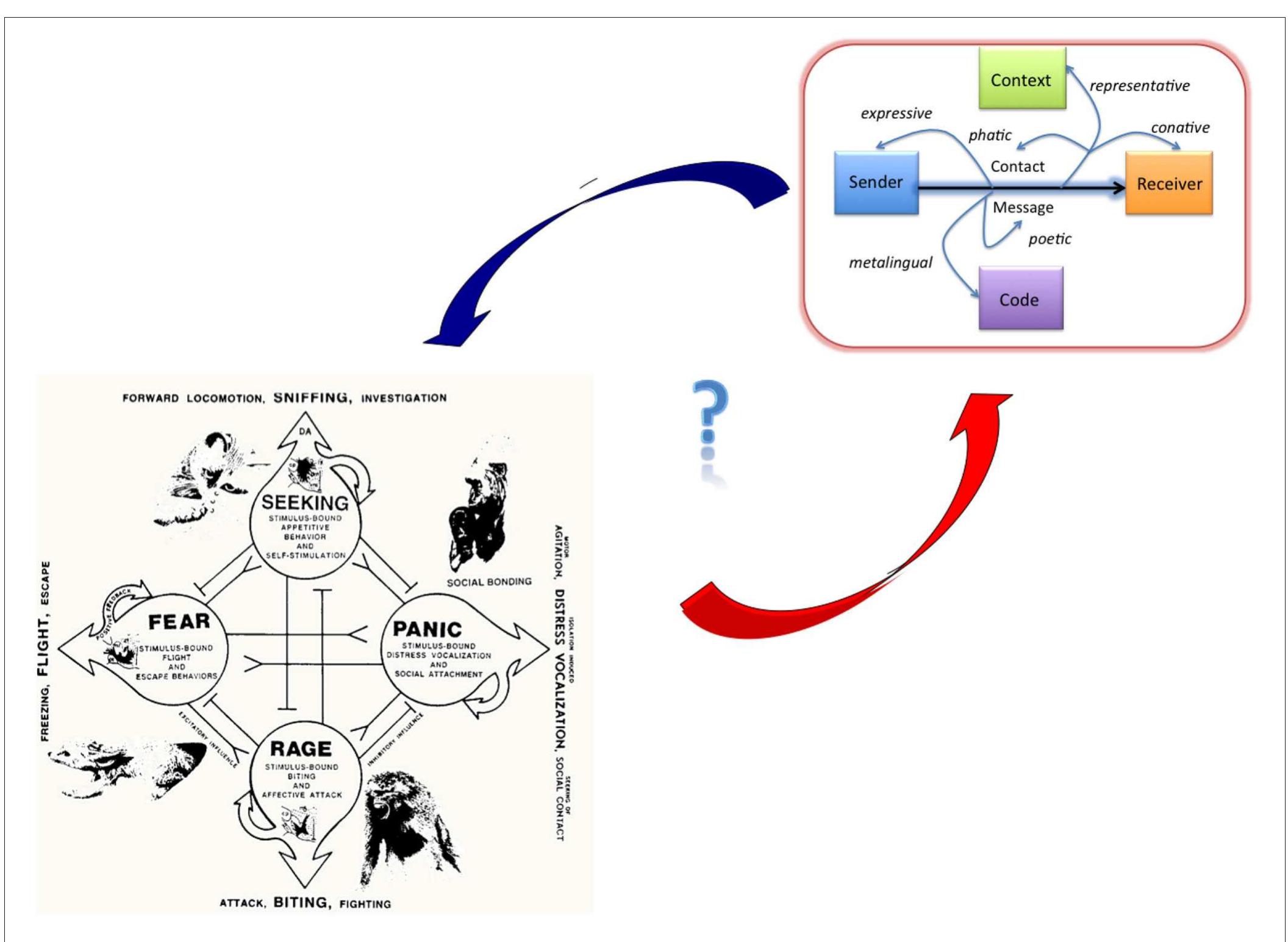 Panksepp Rage System (PDF) Neurocognitive poetics: methods and models for investigating the ...