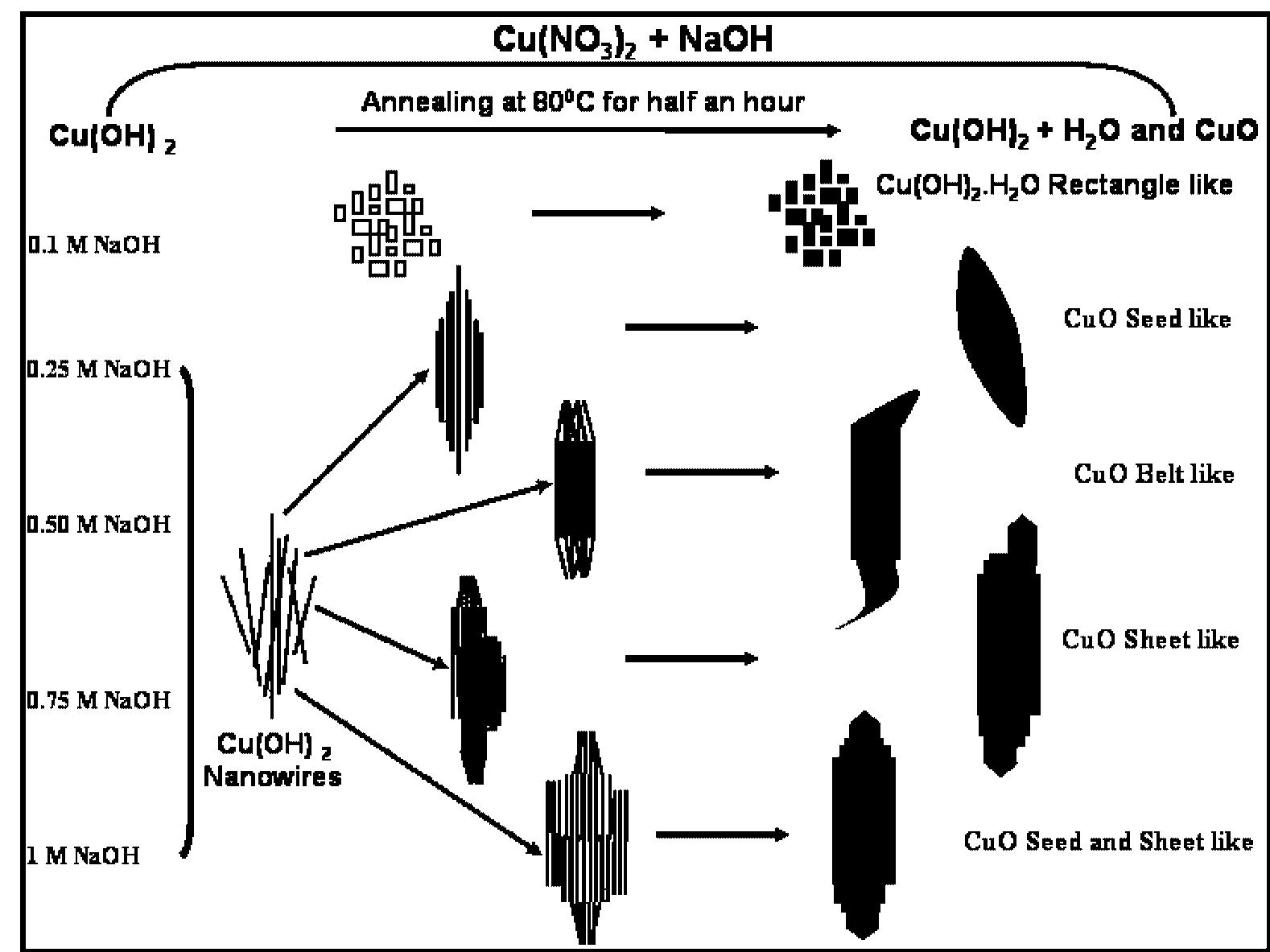 (PDF) Synthesis of Different Cu(OH) 2 and CuO (Nanowires, Rectangles ...
