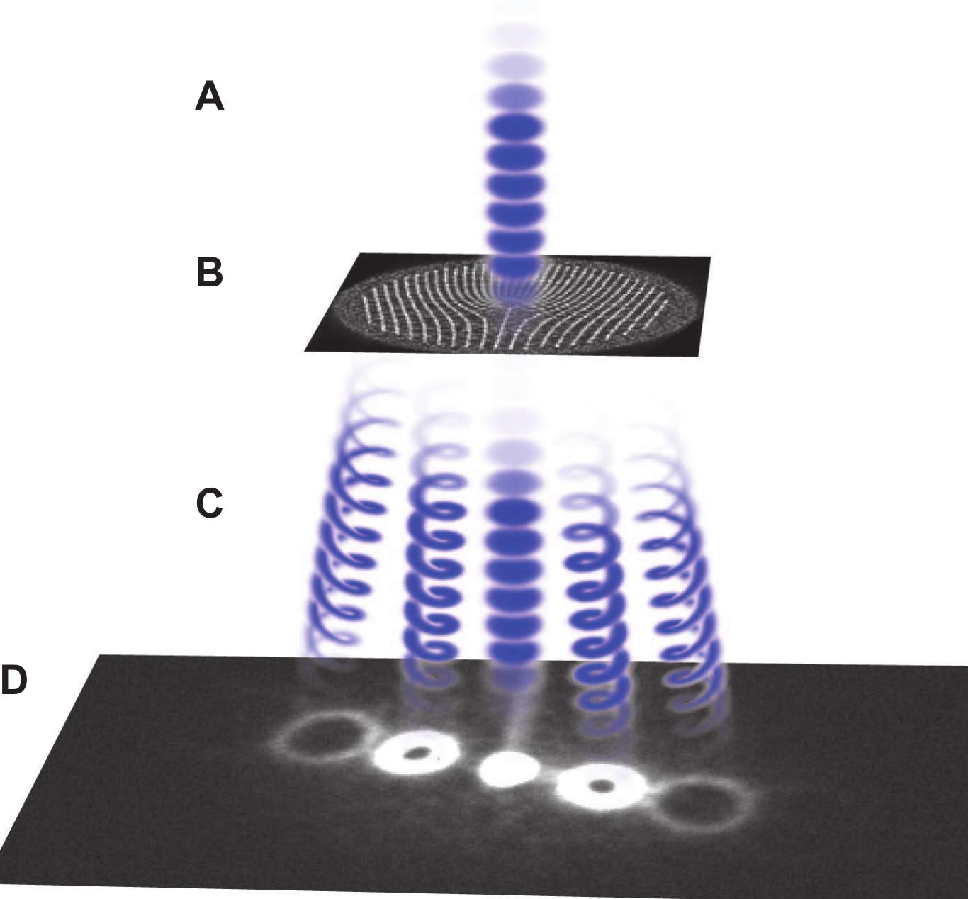 (PDF) Electron Vortex Beams with High Quanta of Orbital Angular Momentum