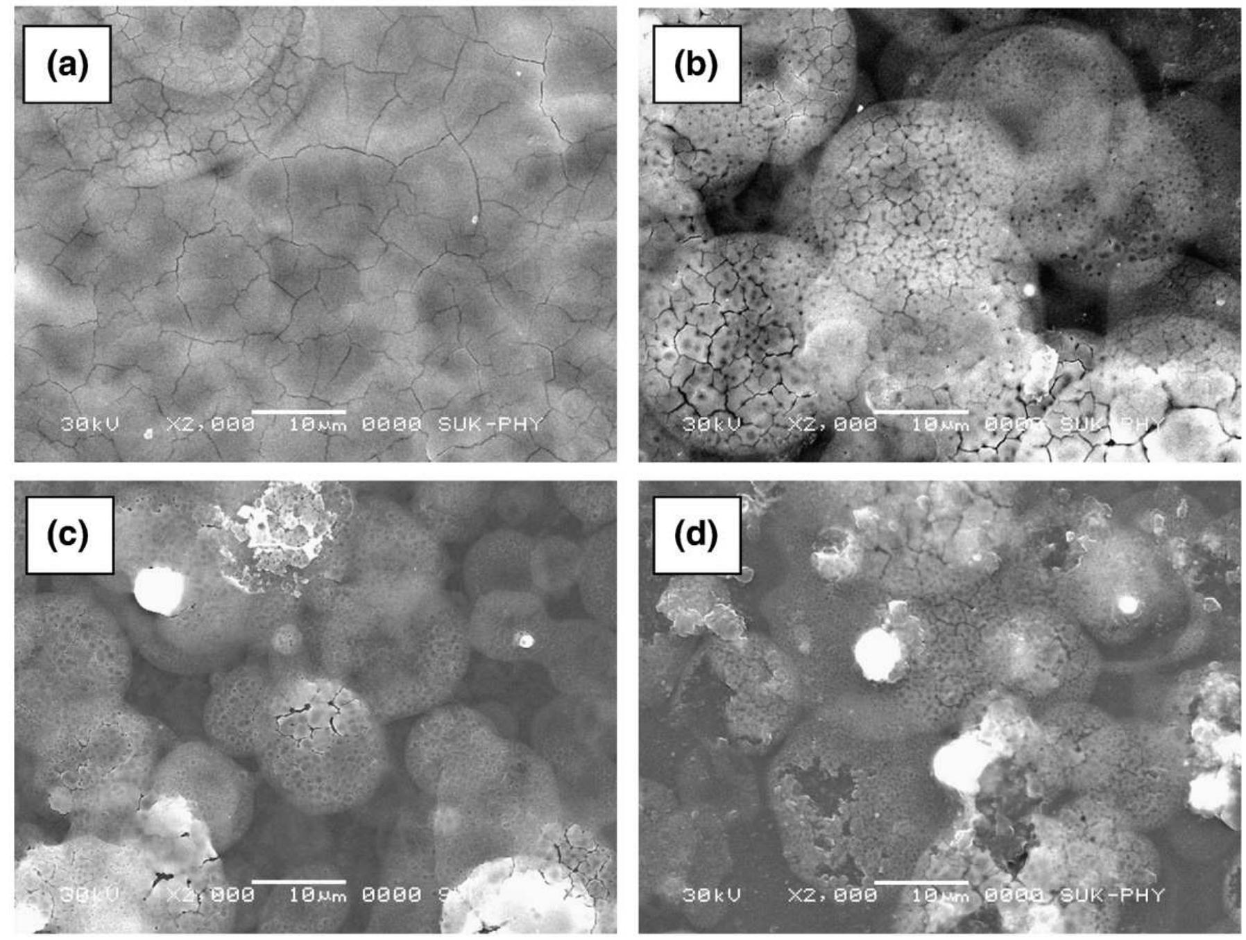 Scanning electron microscopy images of all the films