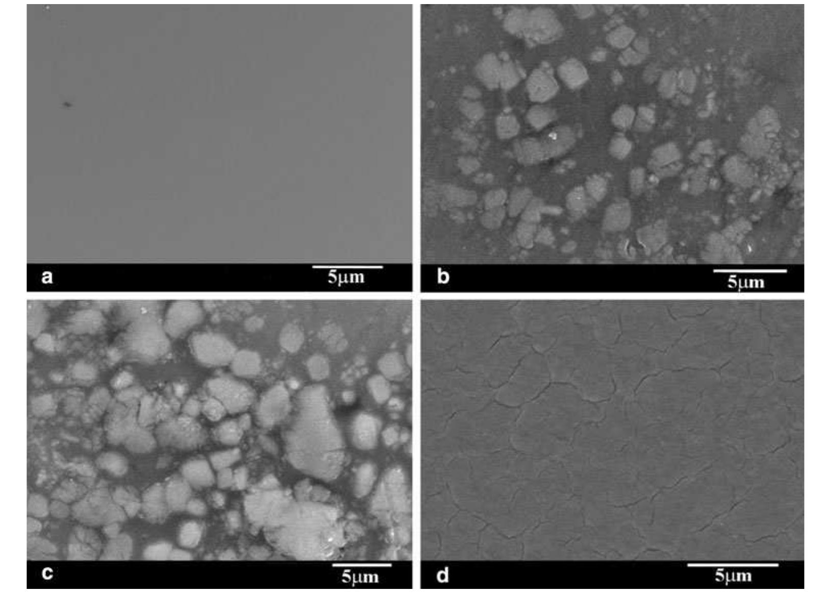 Sem images of the microstructure of the gel-derived