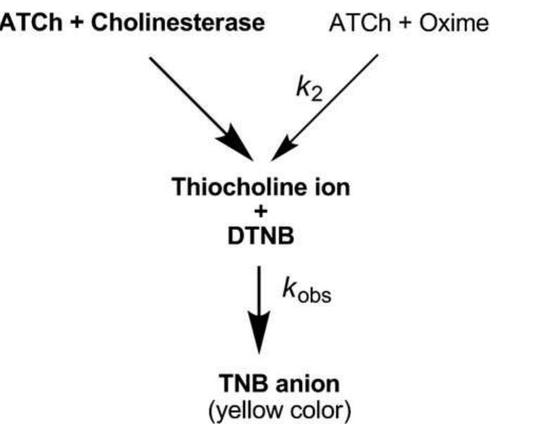 (PDF) Limitation of the Ellman method: Cholinesterase activity ...
