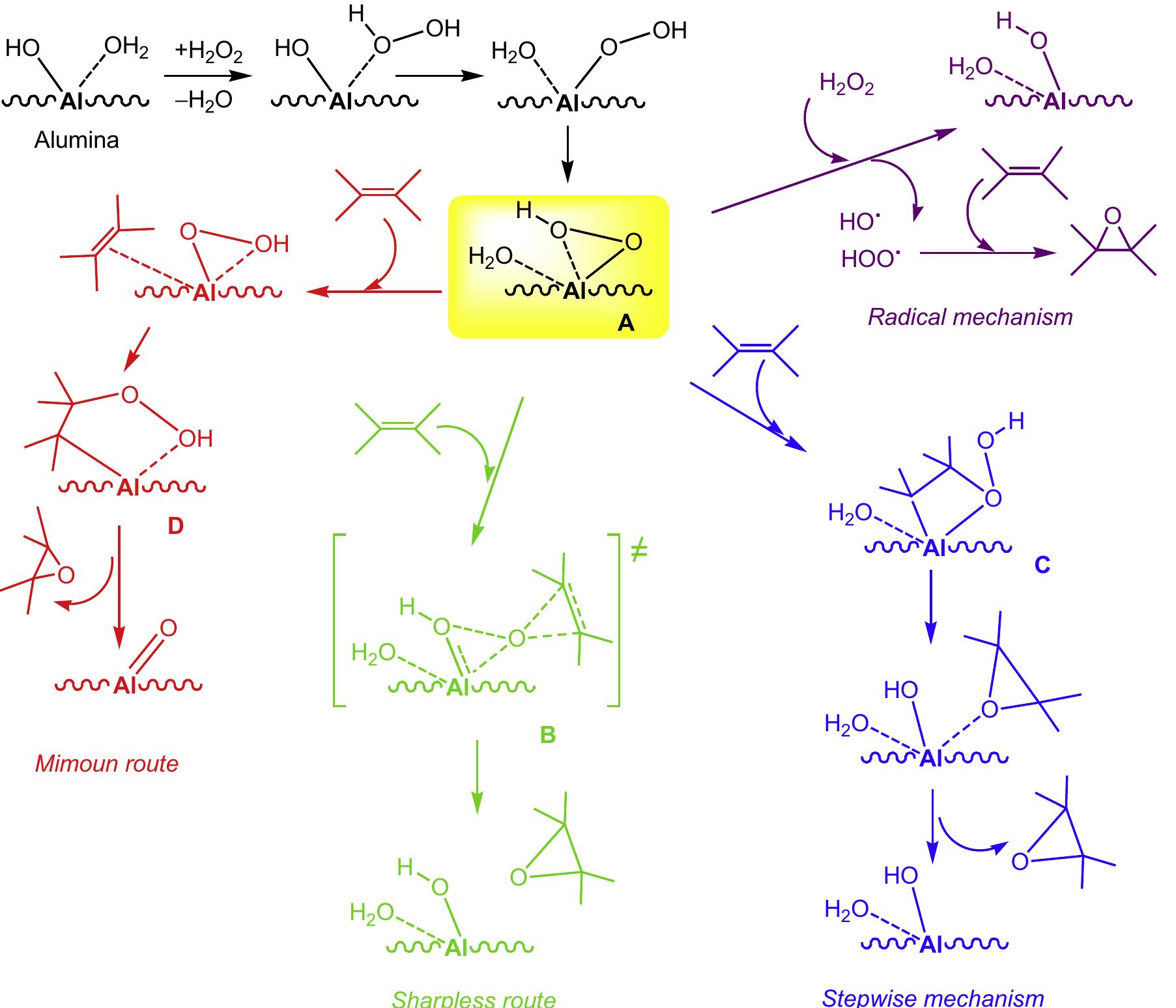 Possible mechanisms for the alkene epoxidation with h202 in
